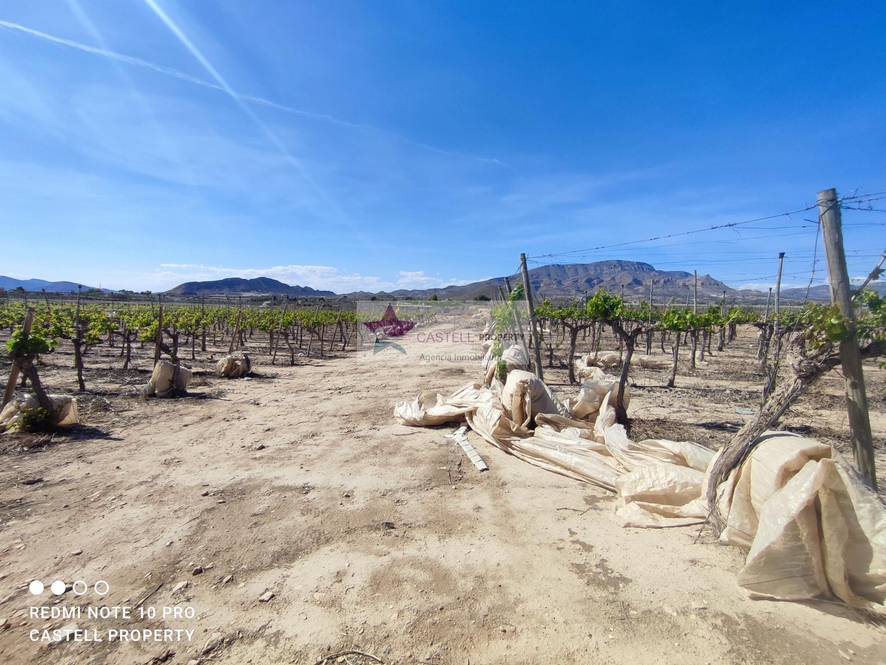 Venta de terreno en Monforte del Cid