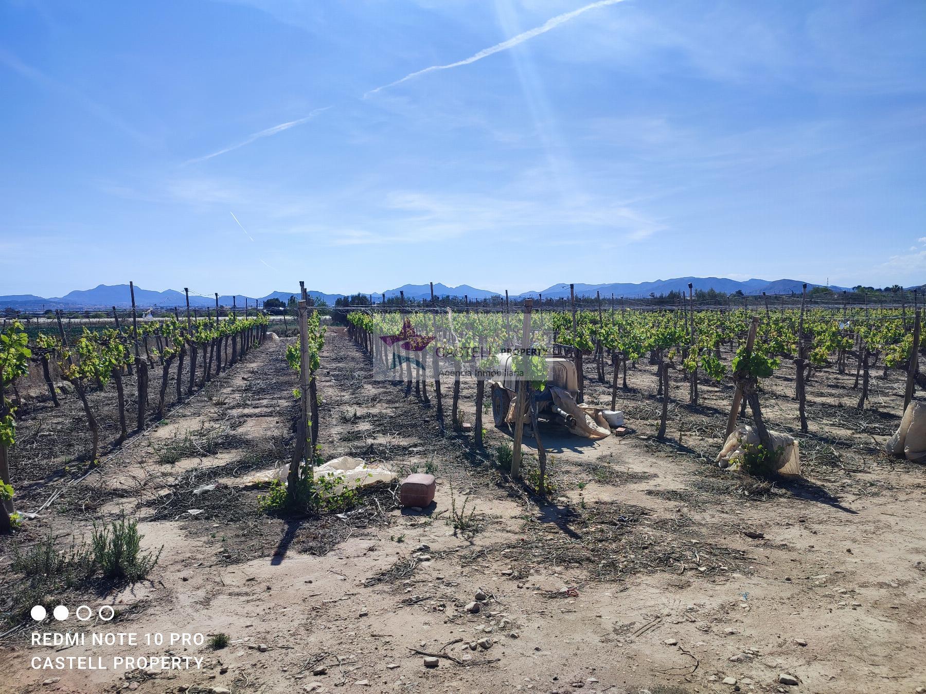 Venta de terreno en Monforte del Cid