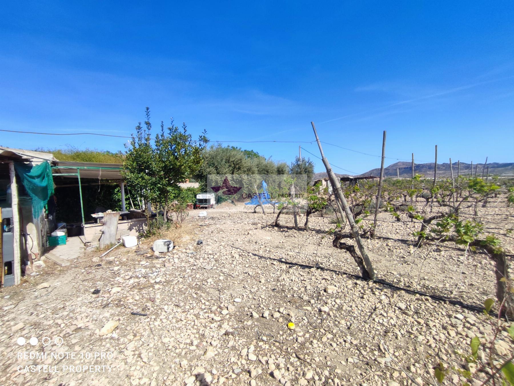 For sale of rural property in Monforte del Cid