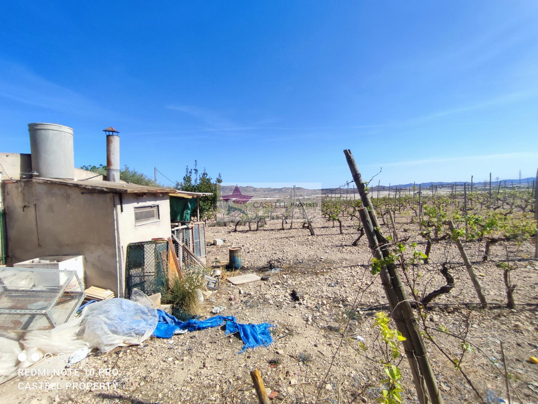 For sale of rural property in Monforte del Cid
