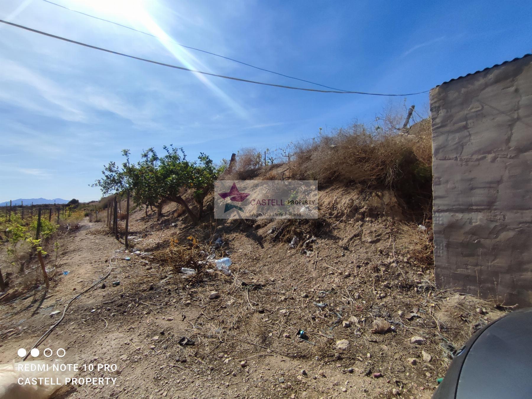 For sale of rural property in Monforte del Cid