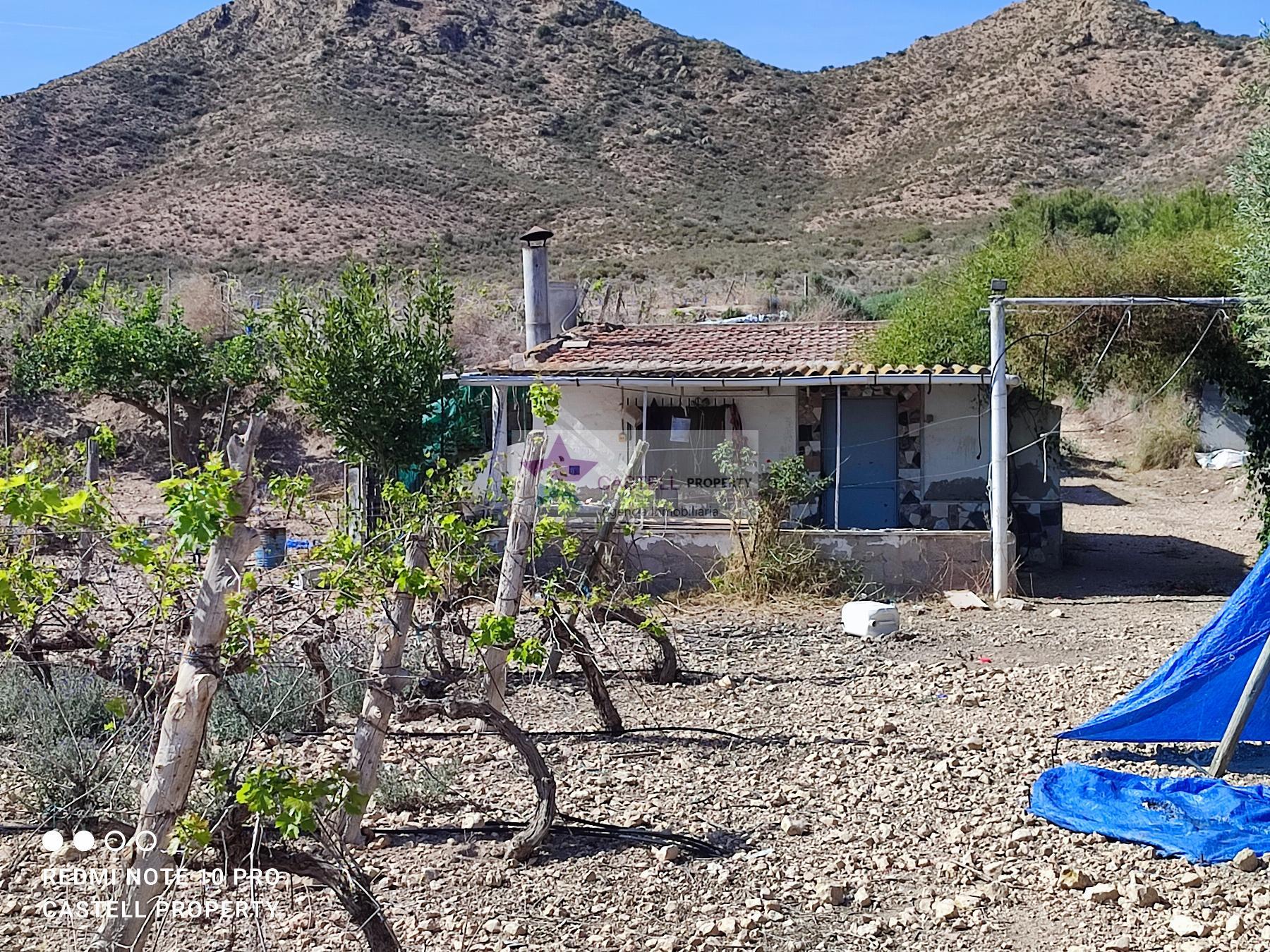 For sale of rural property in Monforte del Cid