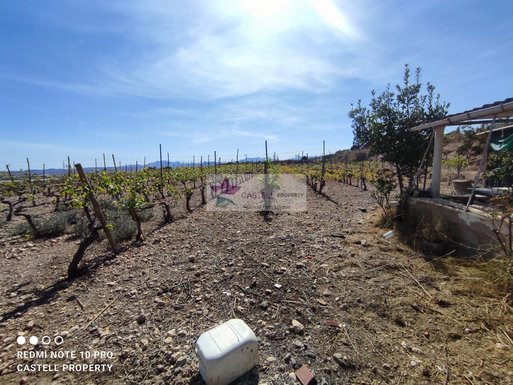 For sale of rural property in Monforte del Cid