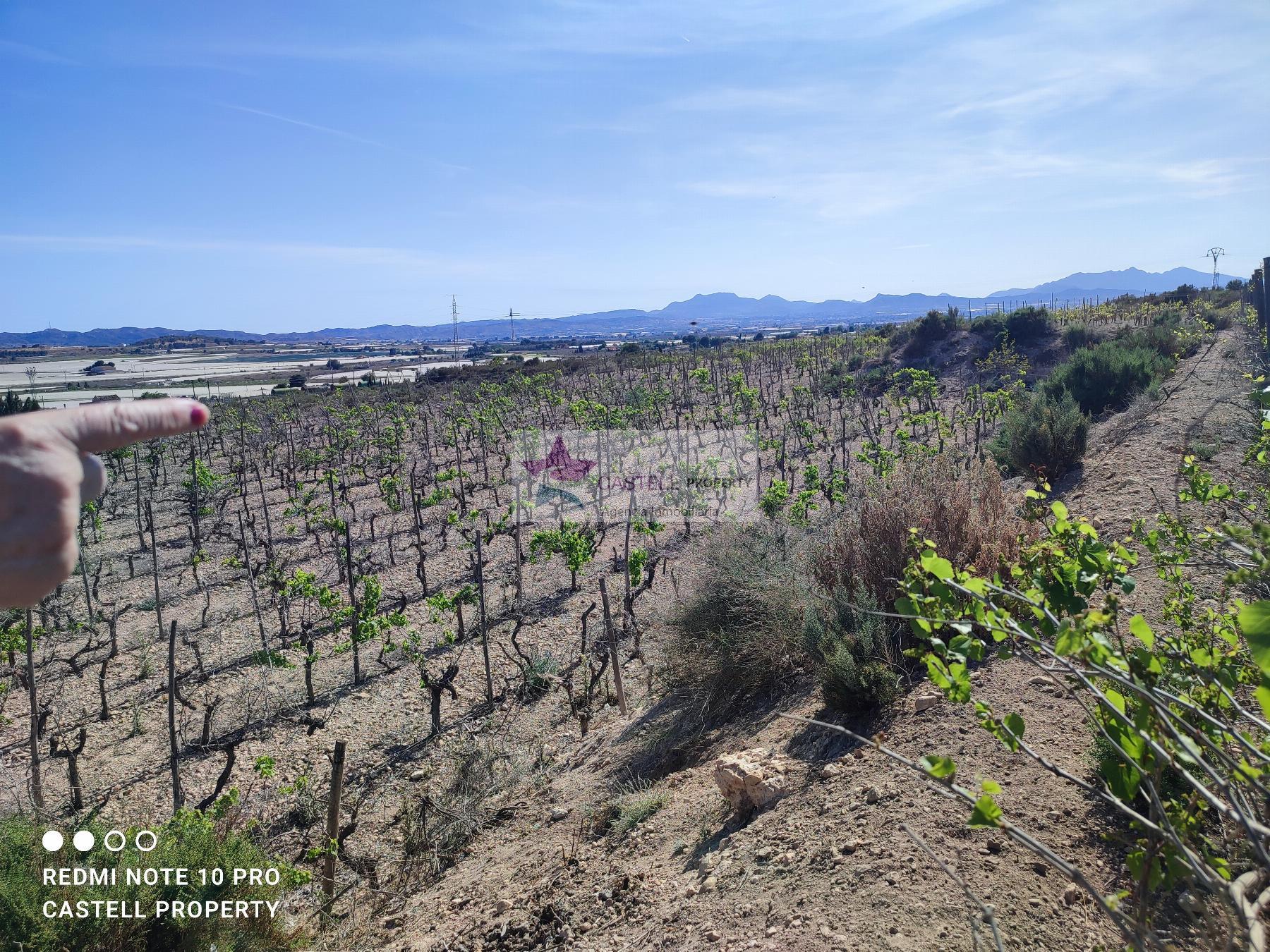 For sale of rural property in Monforte del Cid