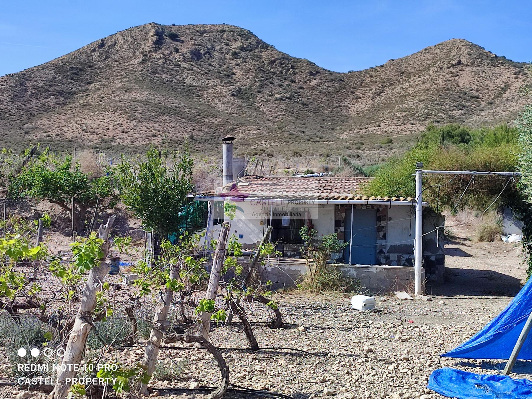 For sale of rural property in Monforte del Cid