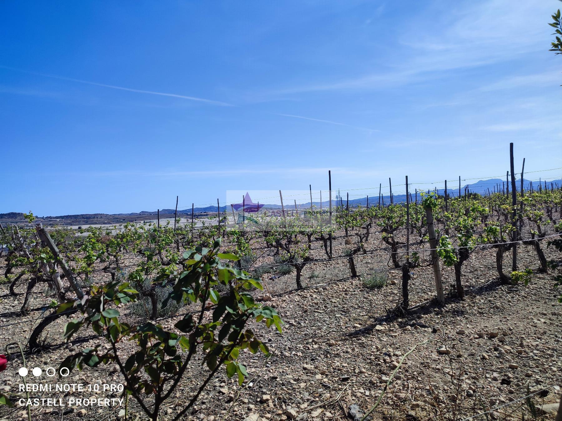 For sale of rural property in Monforte del Cid