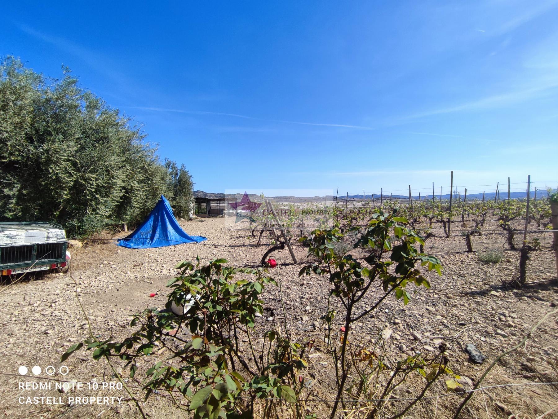 For sale of rural property in Monforte del Cid