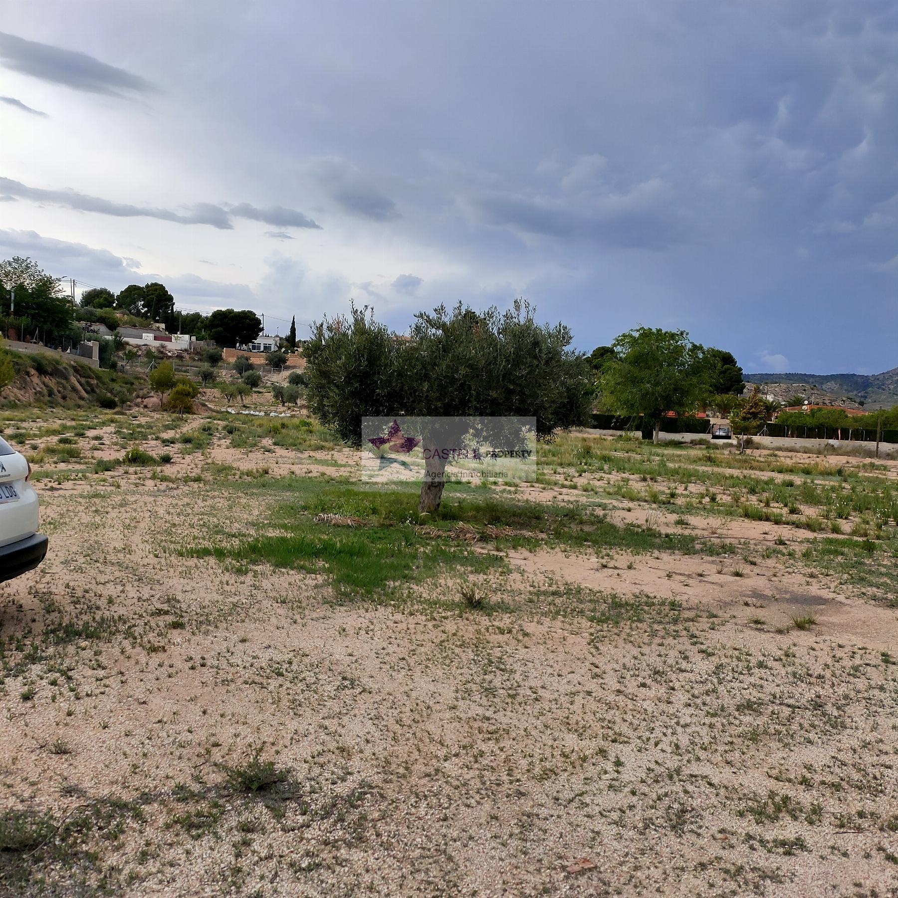 For sale of land in Monóvar-Monòver
