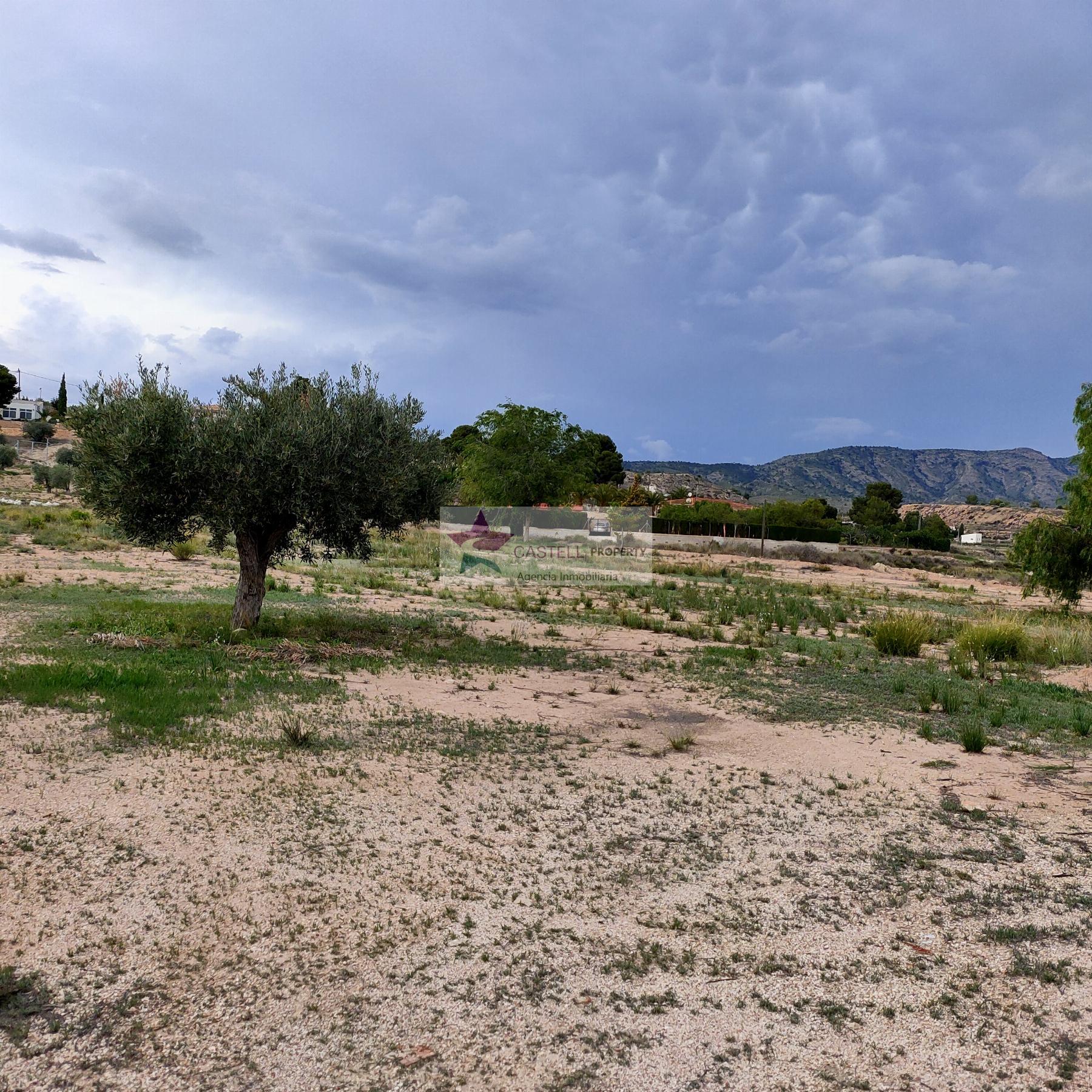 For sale of land in Monóvar-Monòver