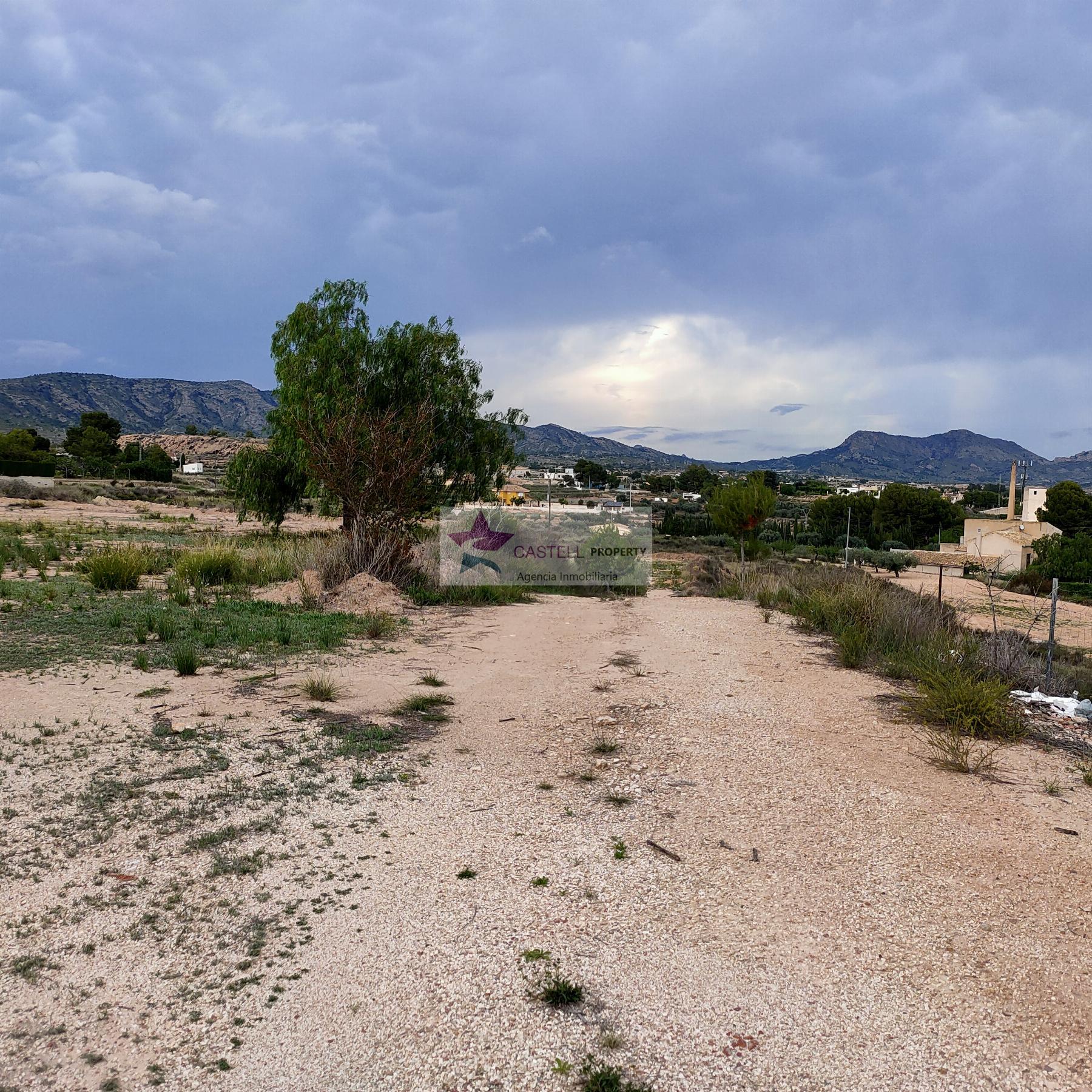 For sale of land in Monóvar-Monòver