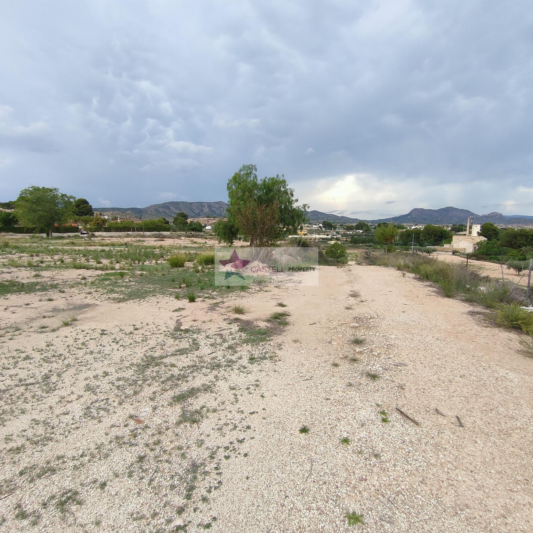 For sale of land in Monóvar-Monòver
