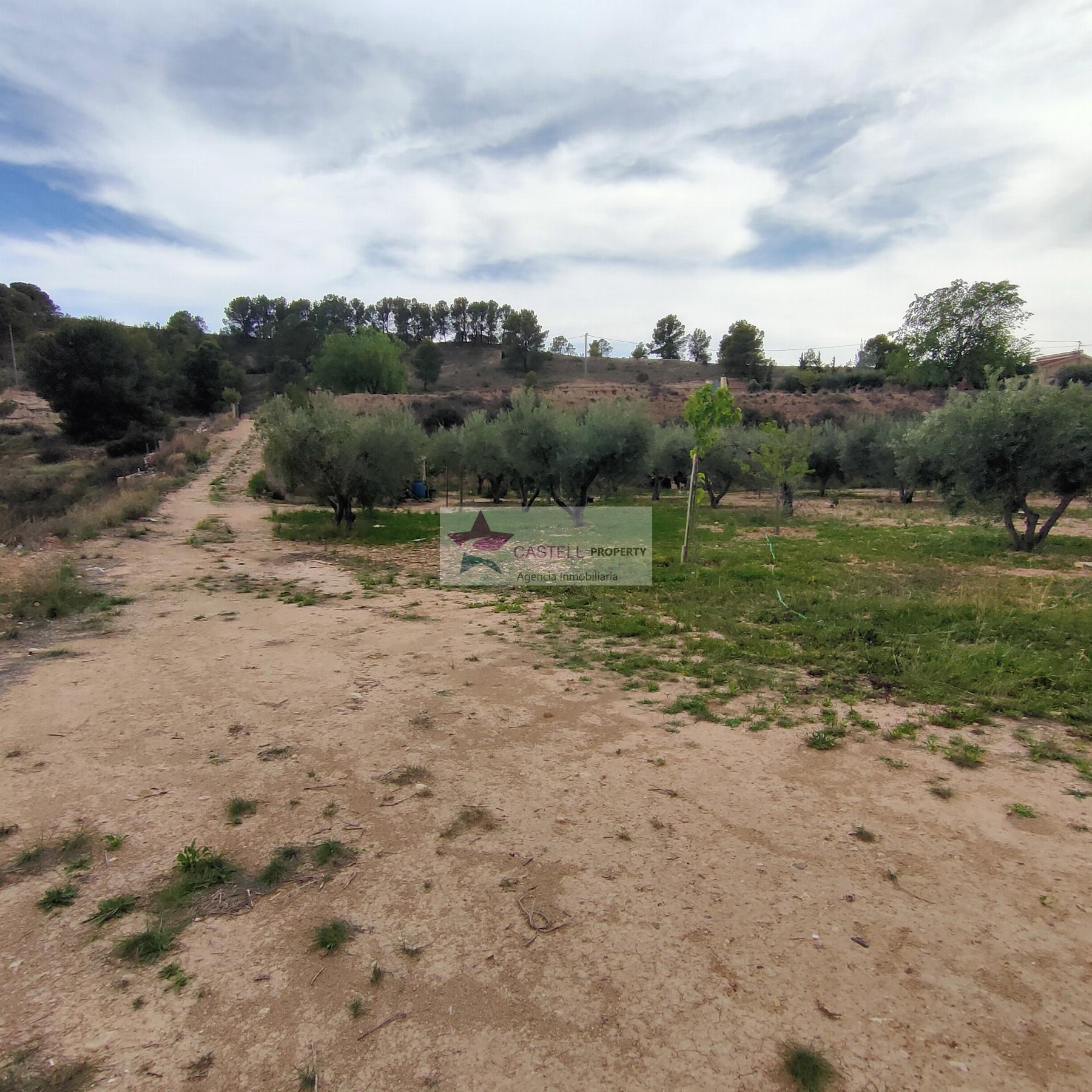 For sale of land in Monóvar-Monòver