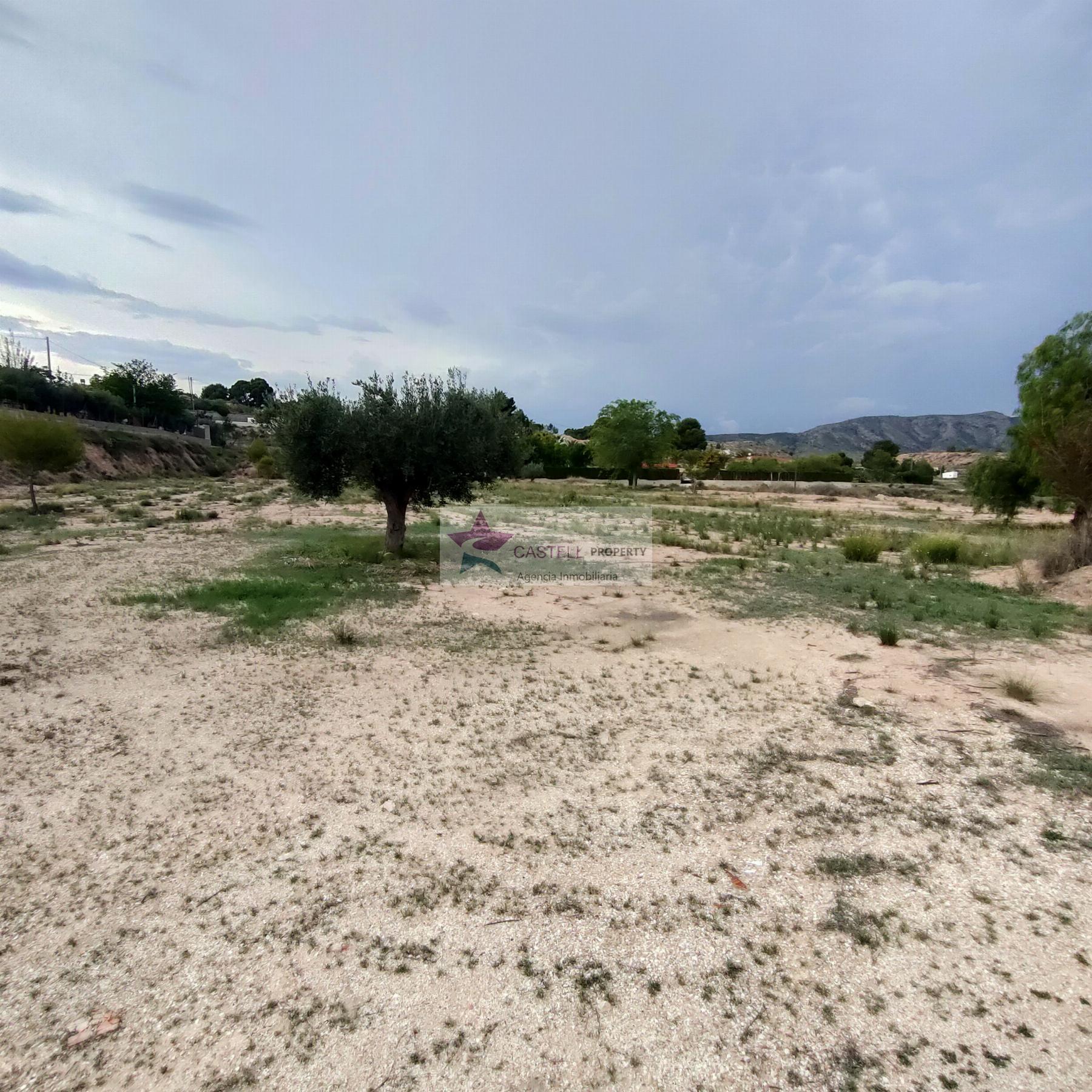 For sale of land in Monóvar-Monòver