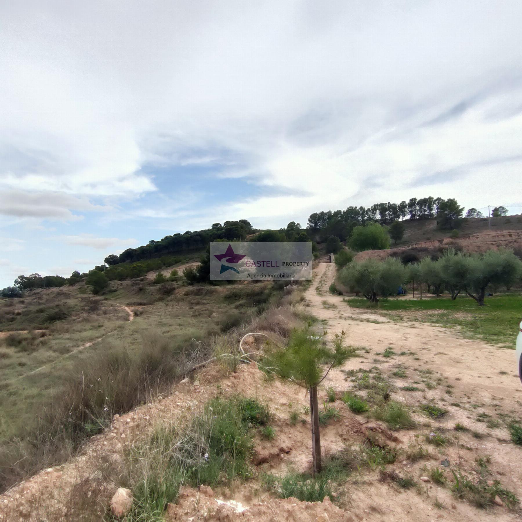 For sale of land in Monóvar-Monòver