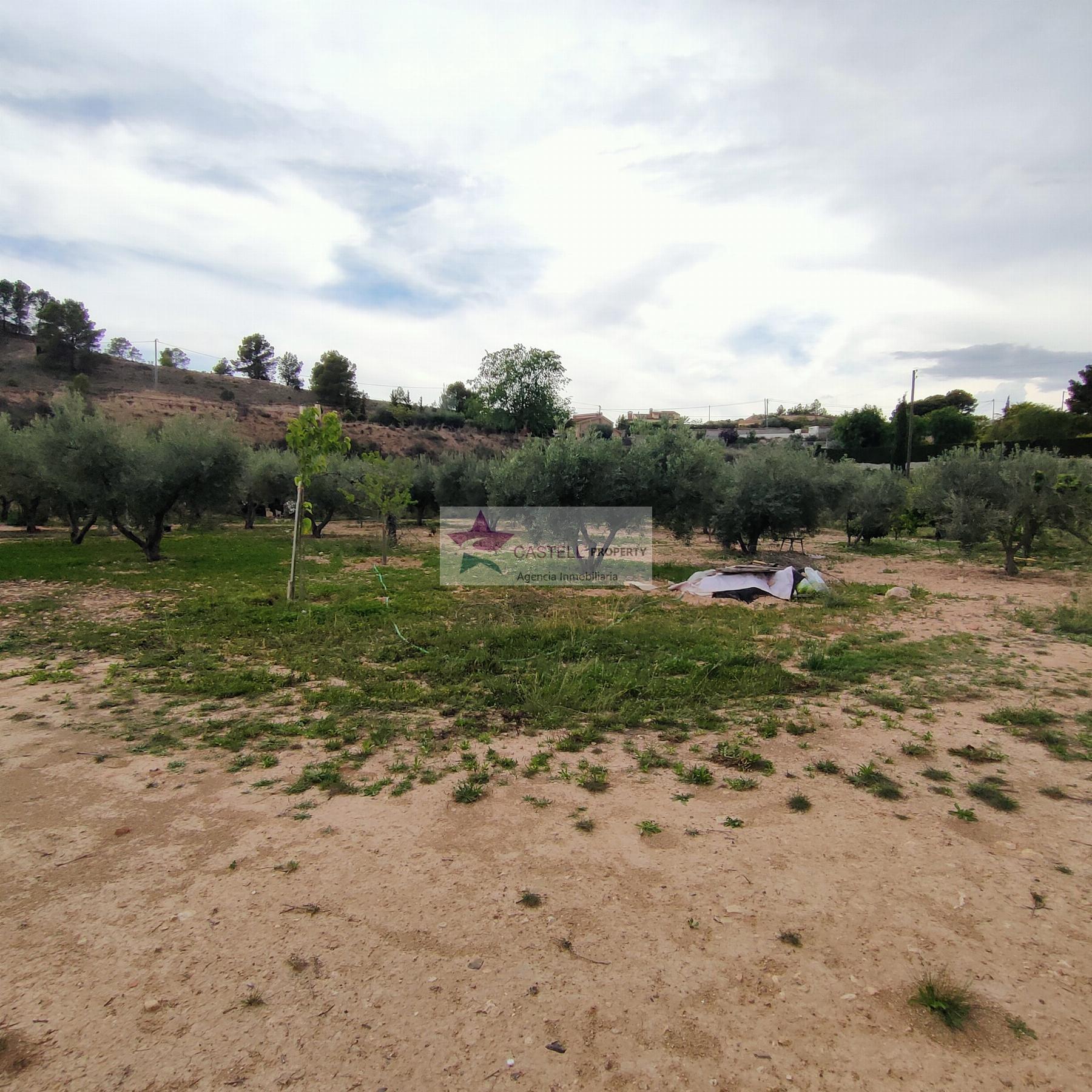 For sale of land in Monóvar-Monòver