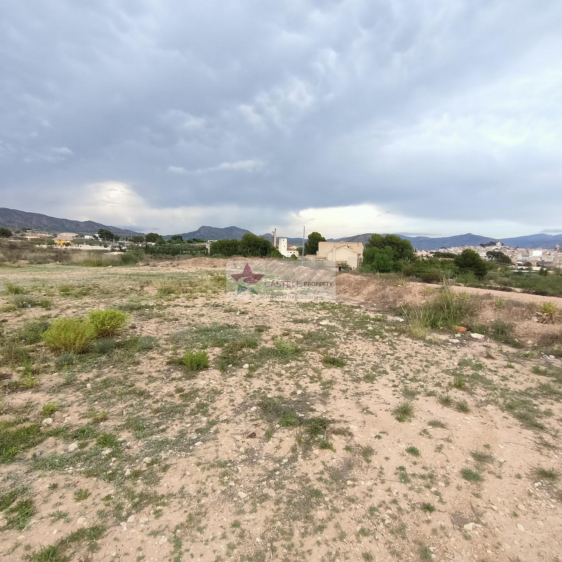 For sale of land in Monóvar-Monòver