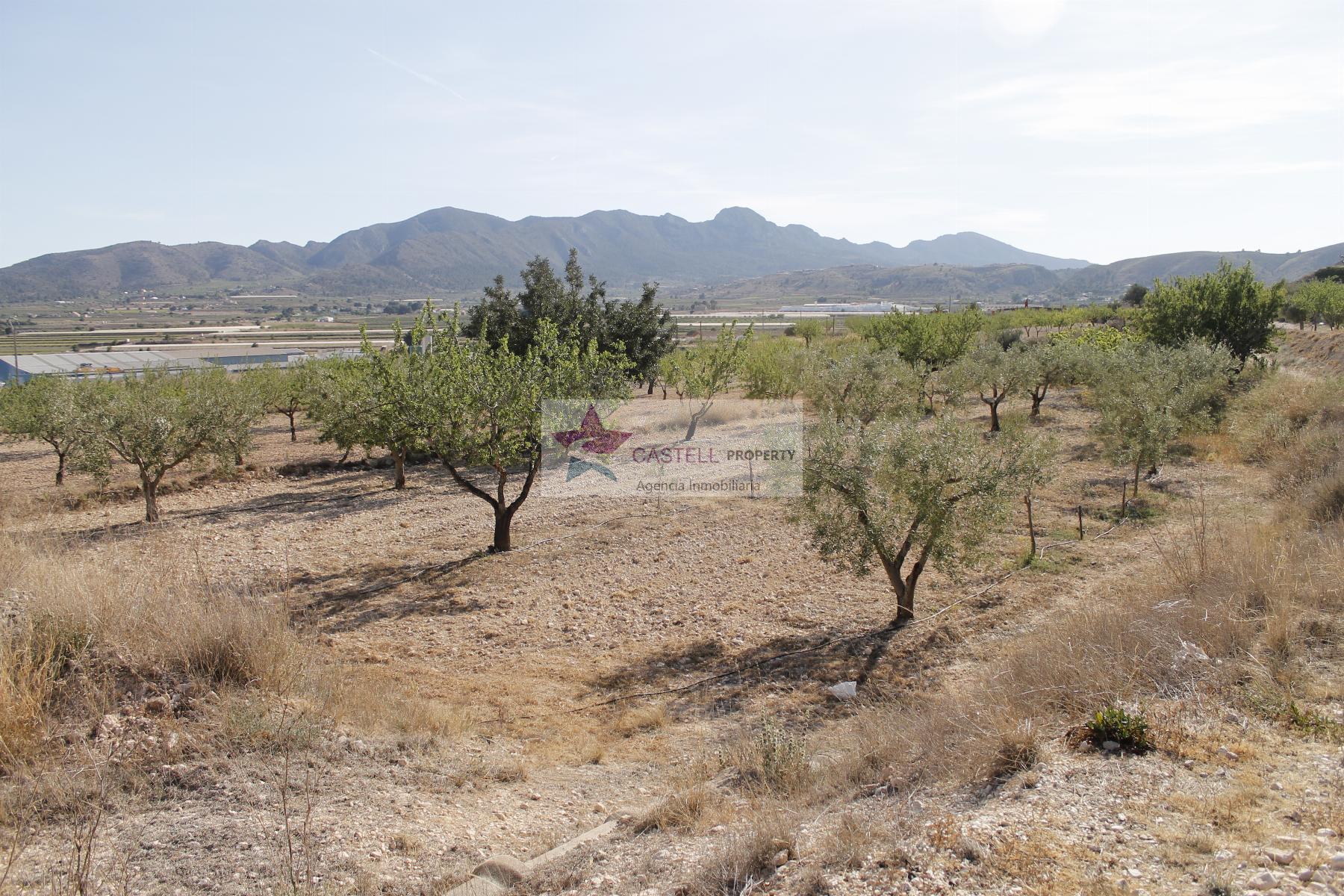For sale of apartment in La Romana
