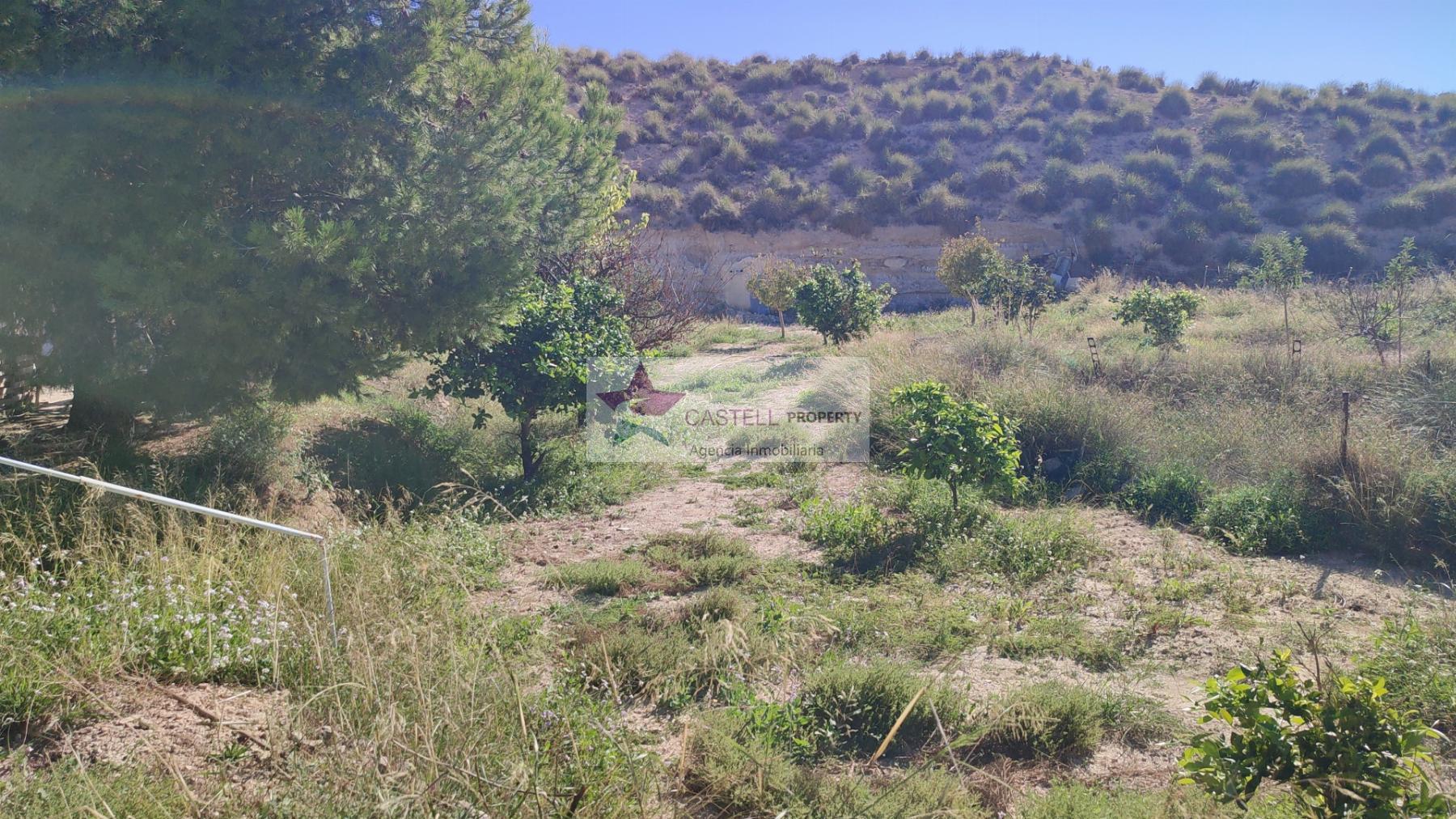 Venta de finca rústica en Aigües