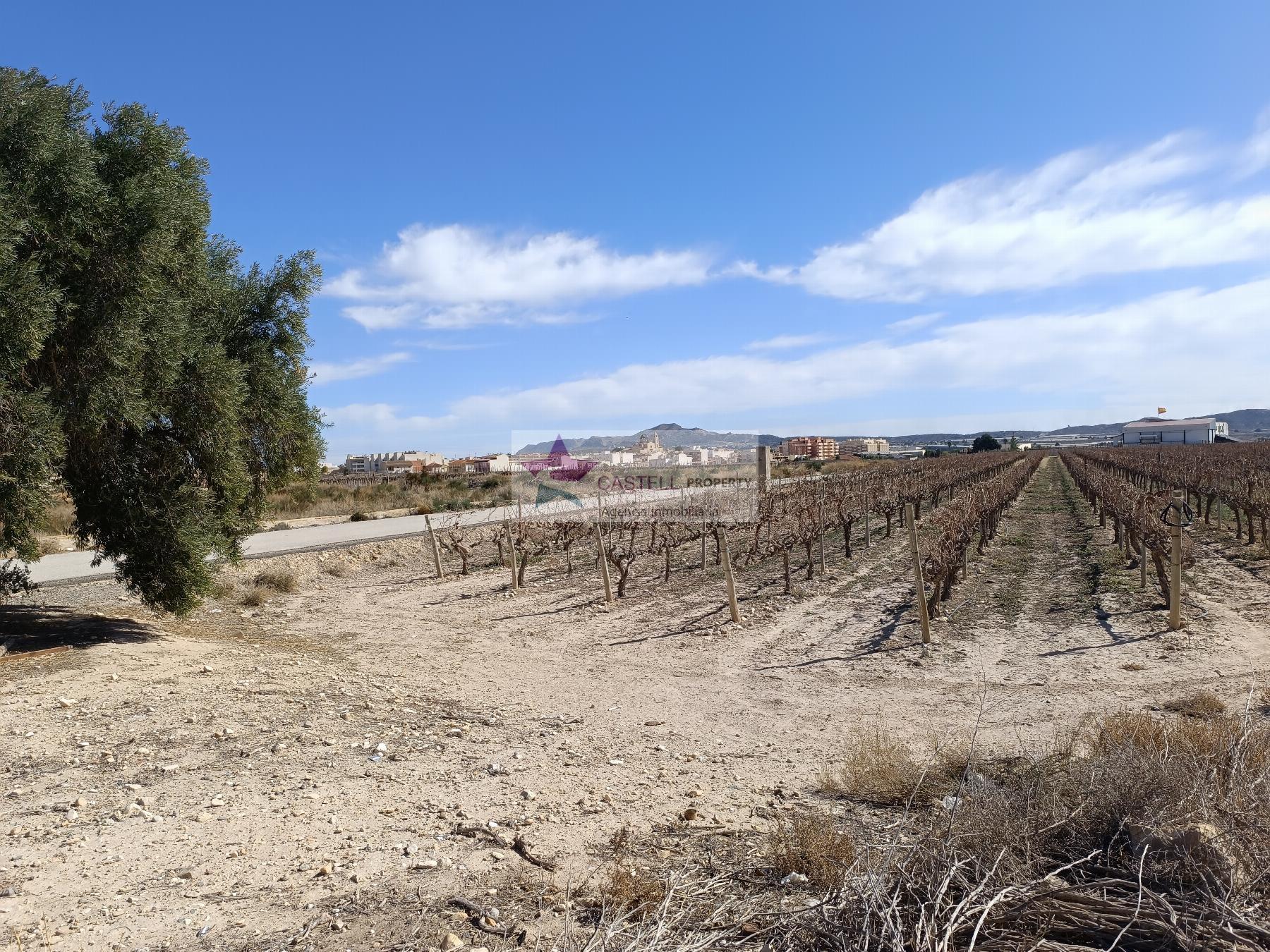 For sale of rural property in Monforte del Cid