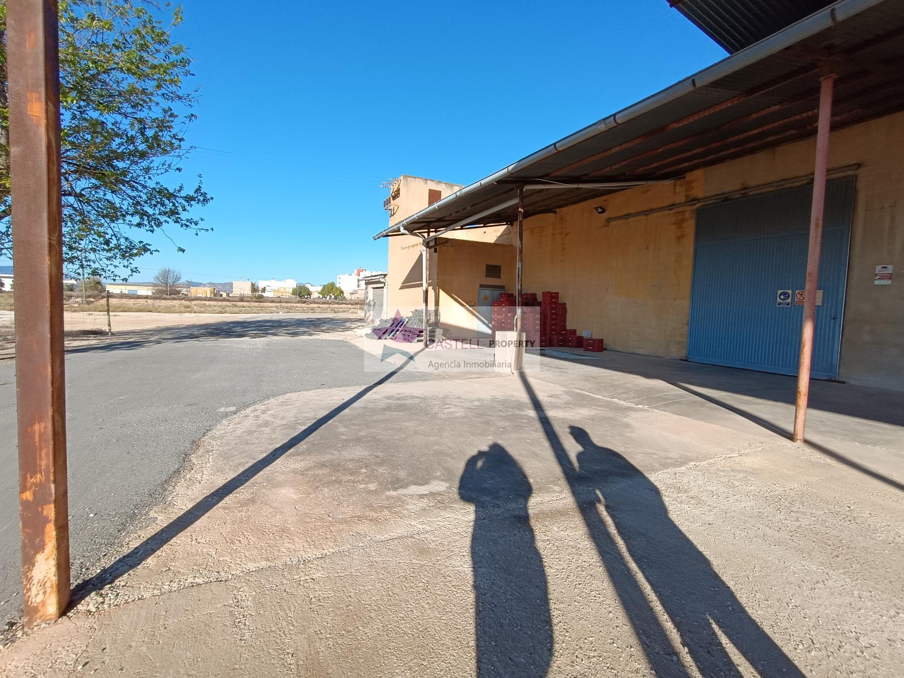 For sale of industrial plant/warehouse in Monforte del Cid