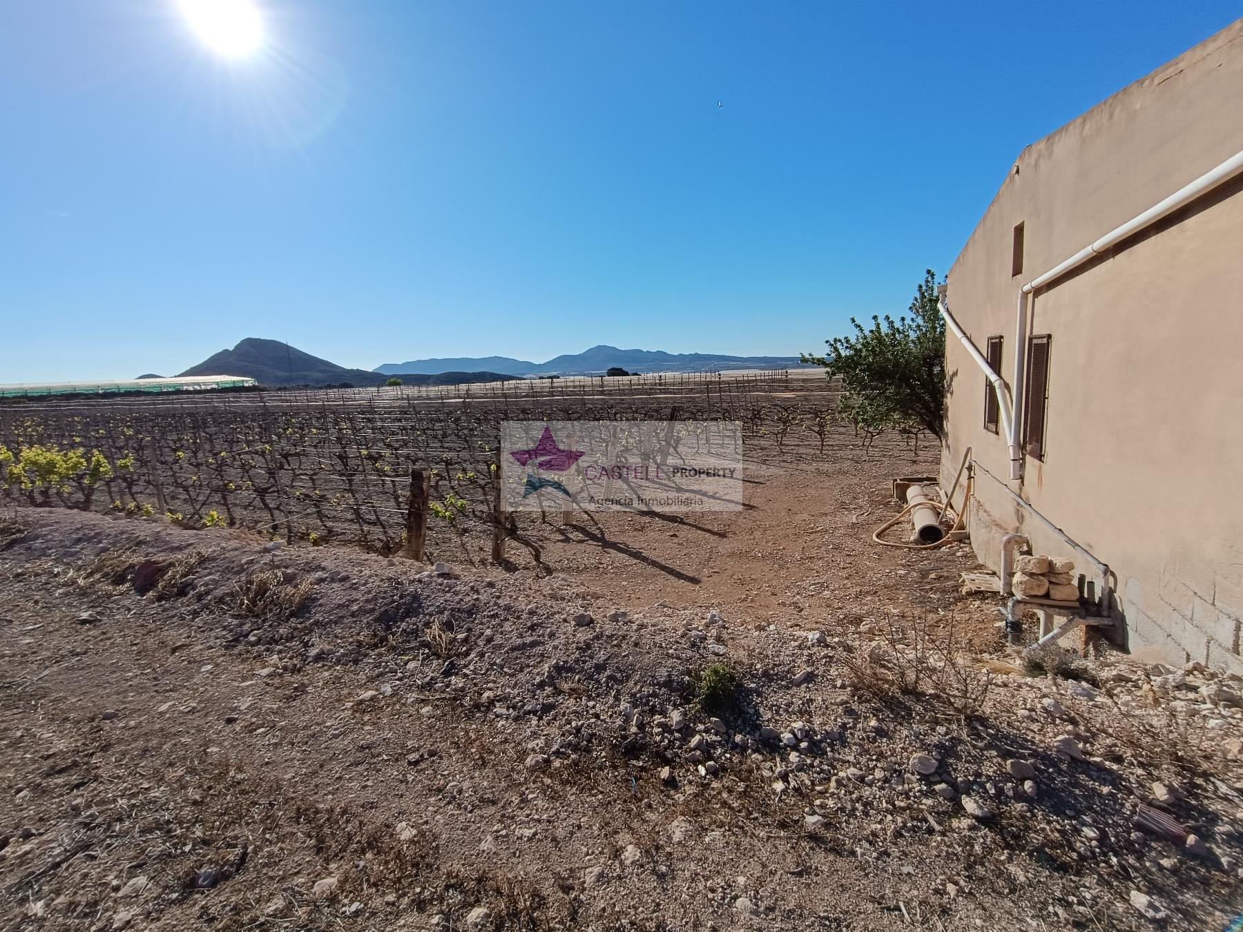 Venta de finca rústica en Monforte del Cid