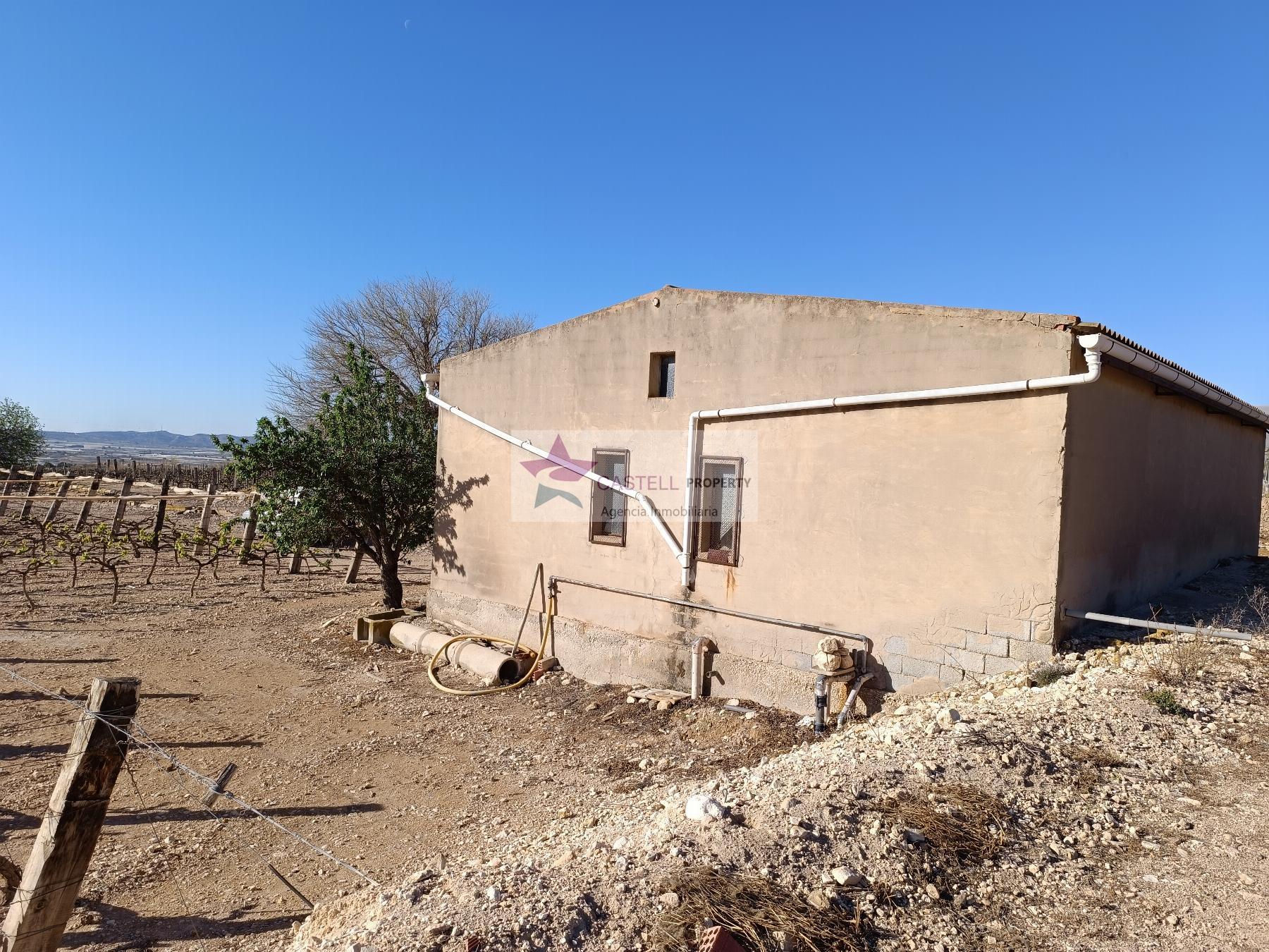 Finca en venta en campo, Monforte del Cid