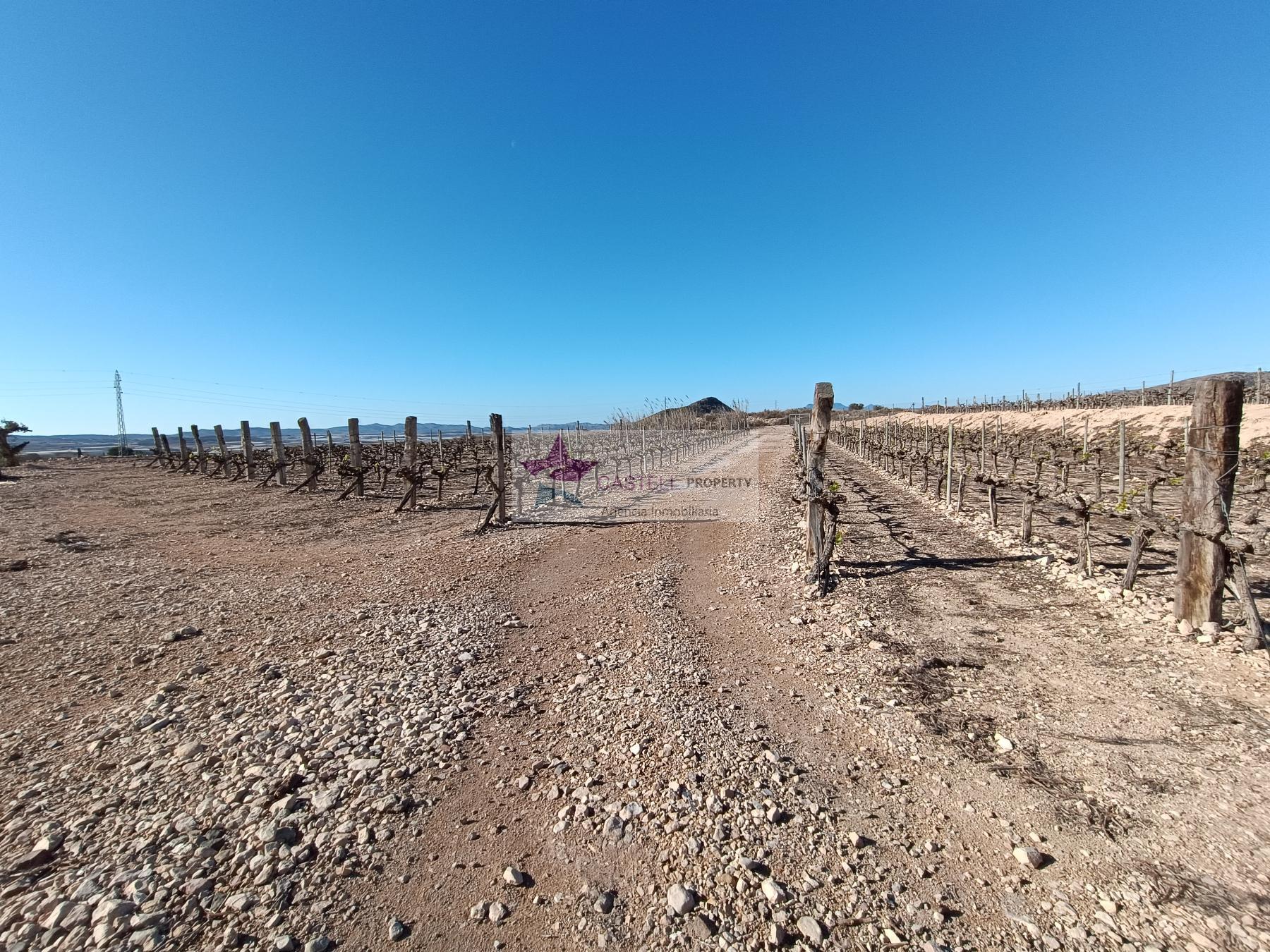 For sale of rural property in Monforte del Cid