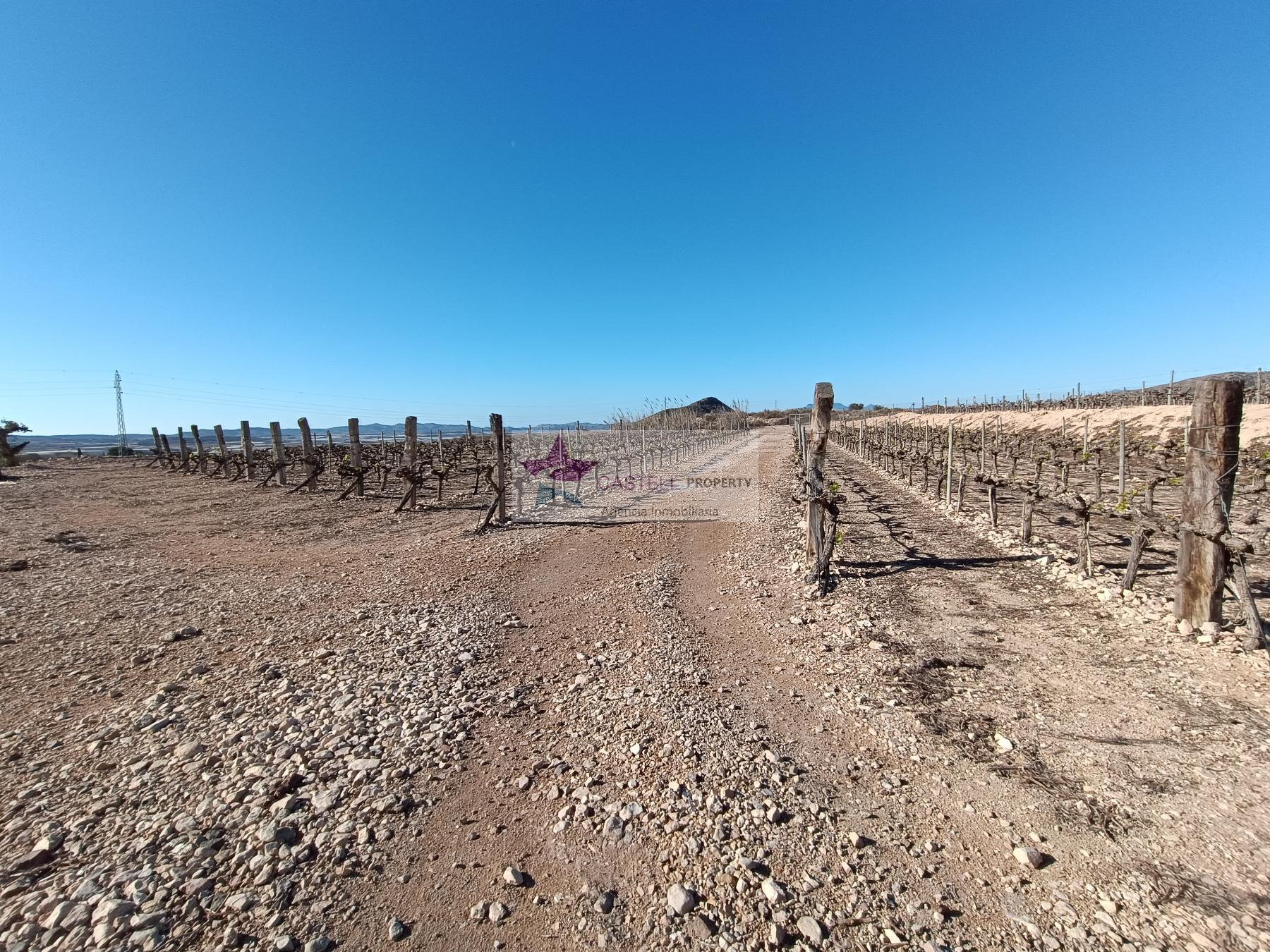 Venta de finca rústica en Monforte del Cid