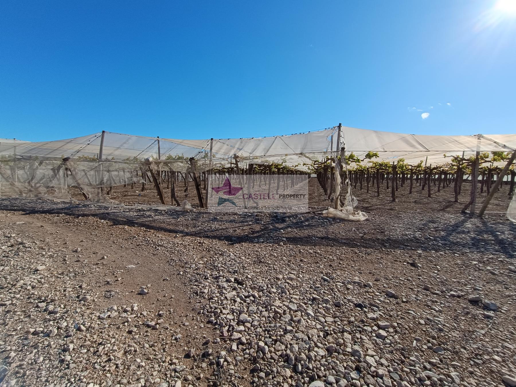 For sale of rural property in Monforte del Cid