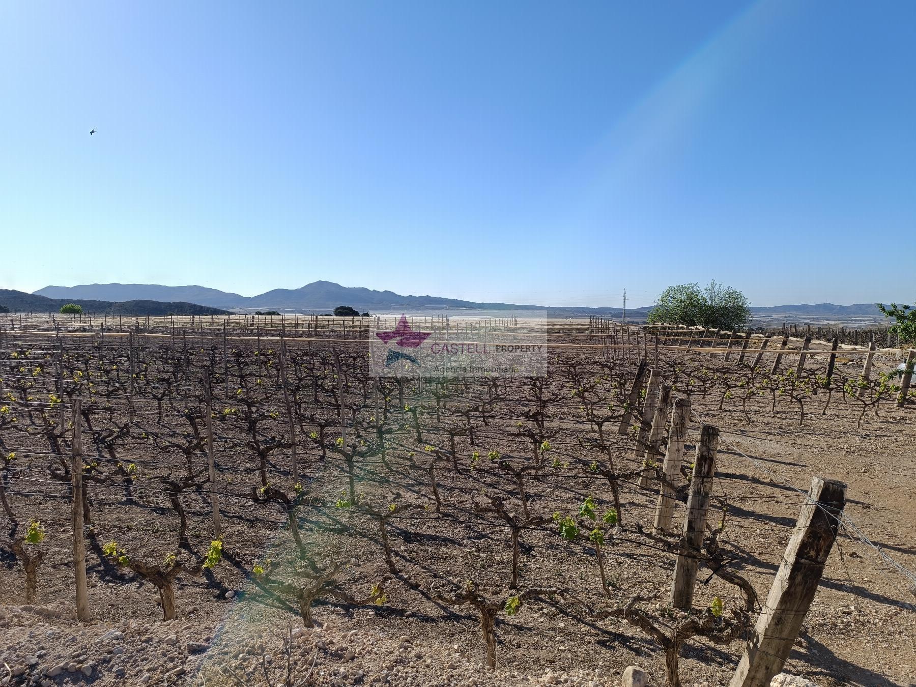 For sale of rural property in Monforte del Cid