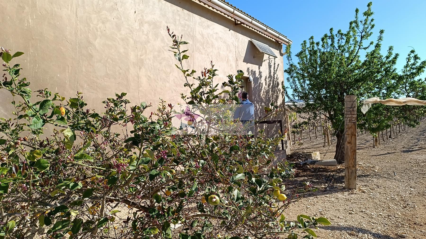 For sale of rural property in Monforte del Cid