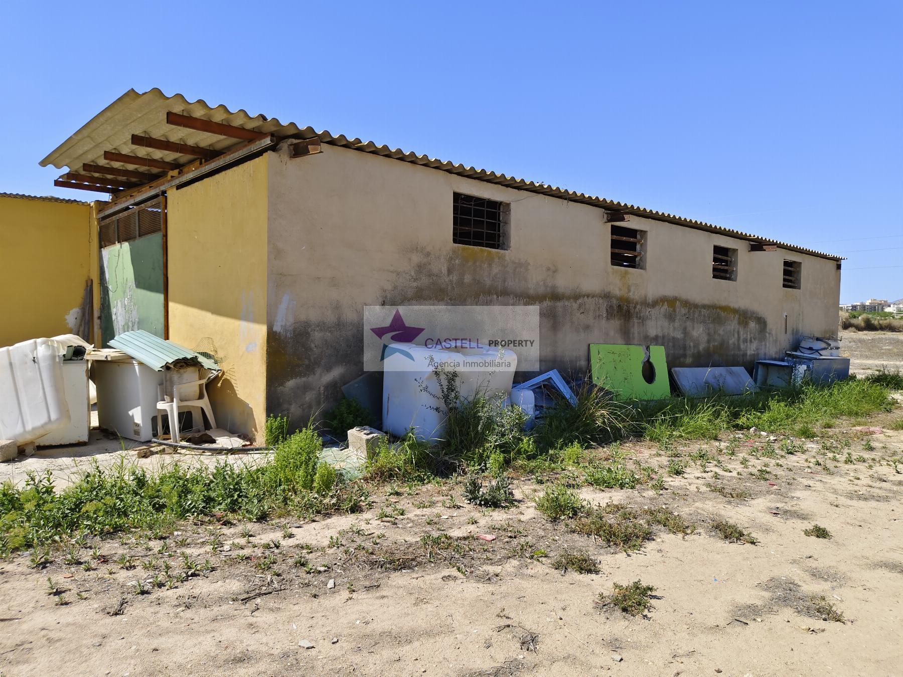 Venta de finca rústica en Aspe