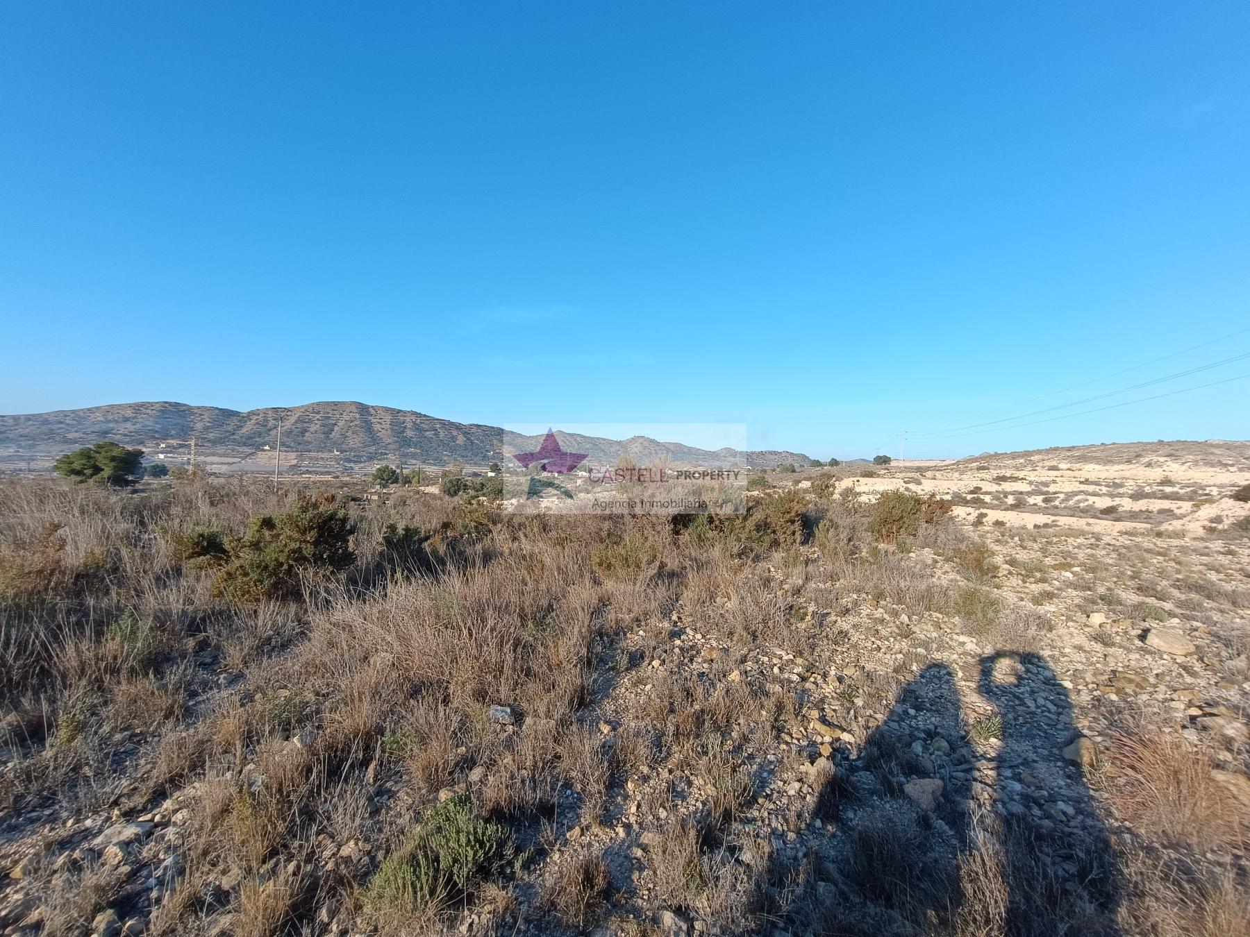For sale of rural property in Monforte del Cid