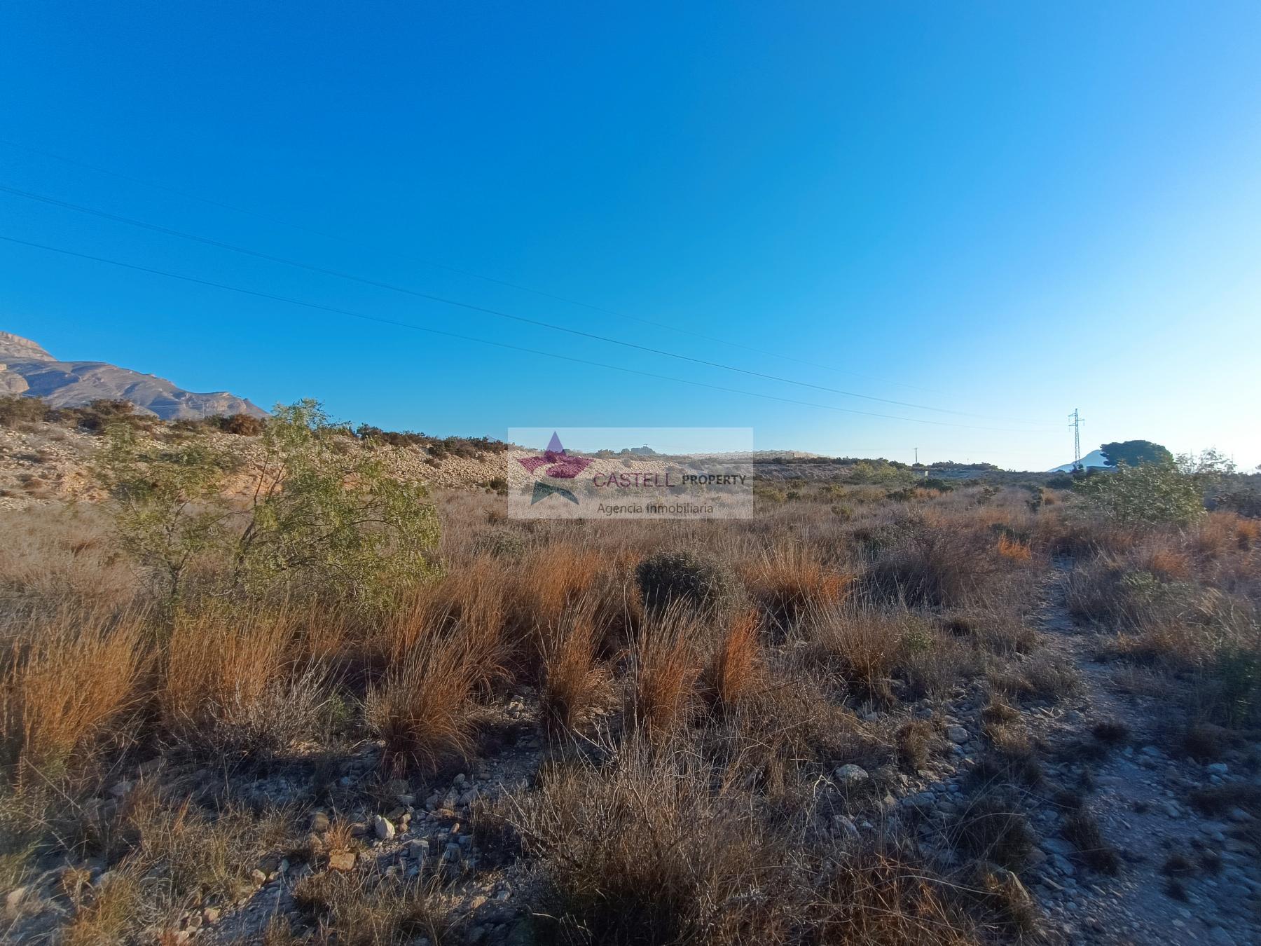 For sale of rural property in Monforte del Cid