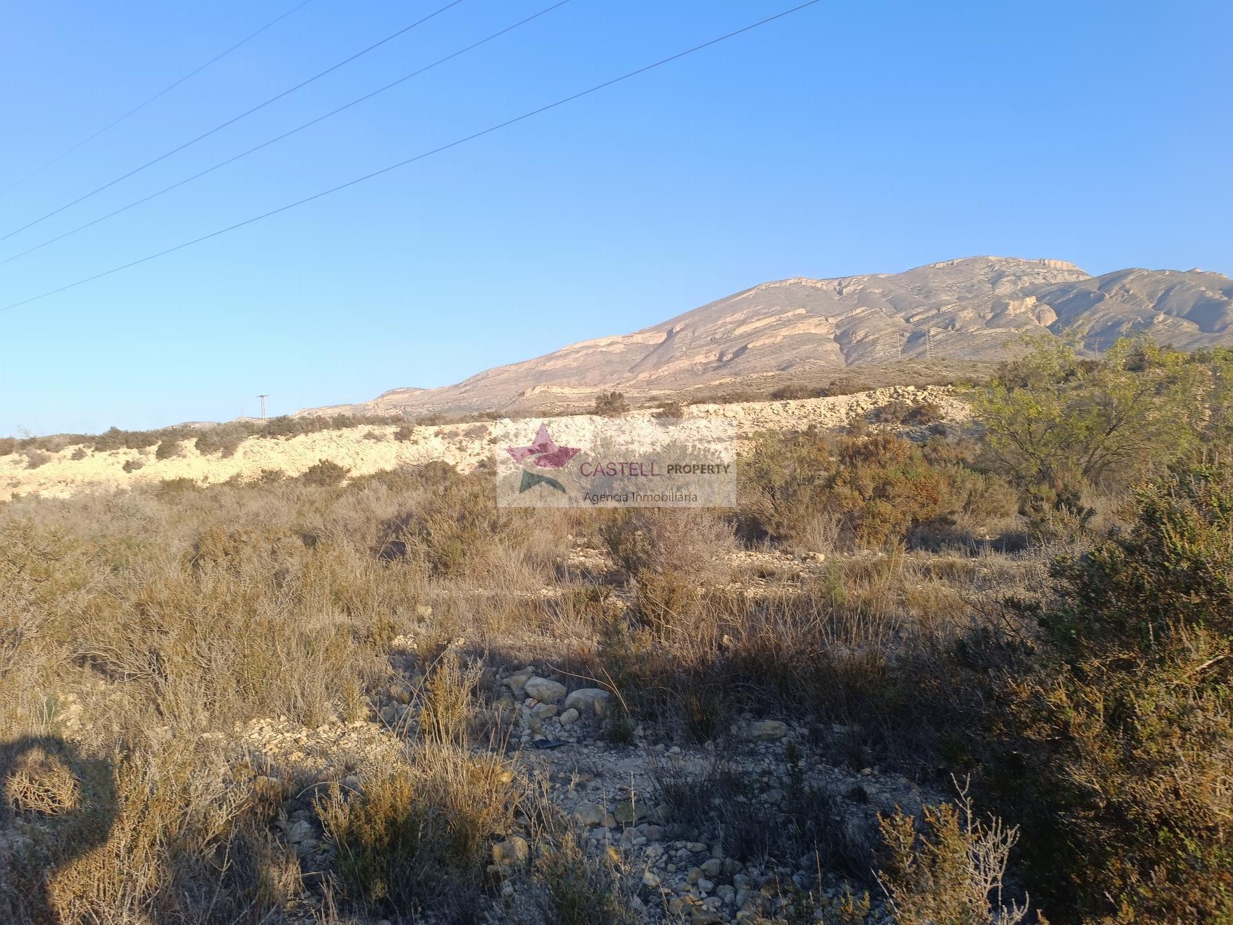For sale of rural property in Monforte del Cid