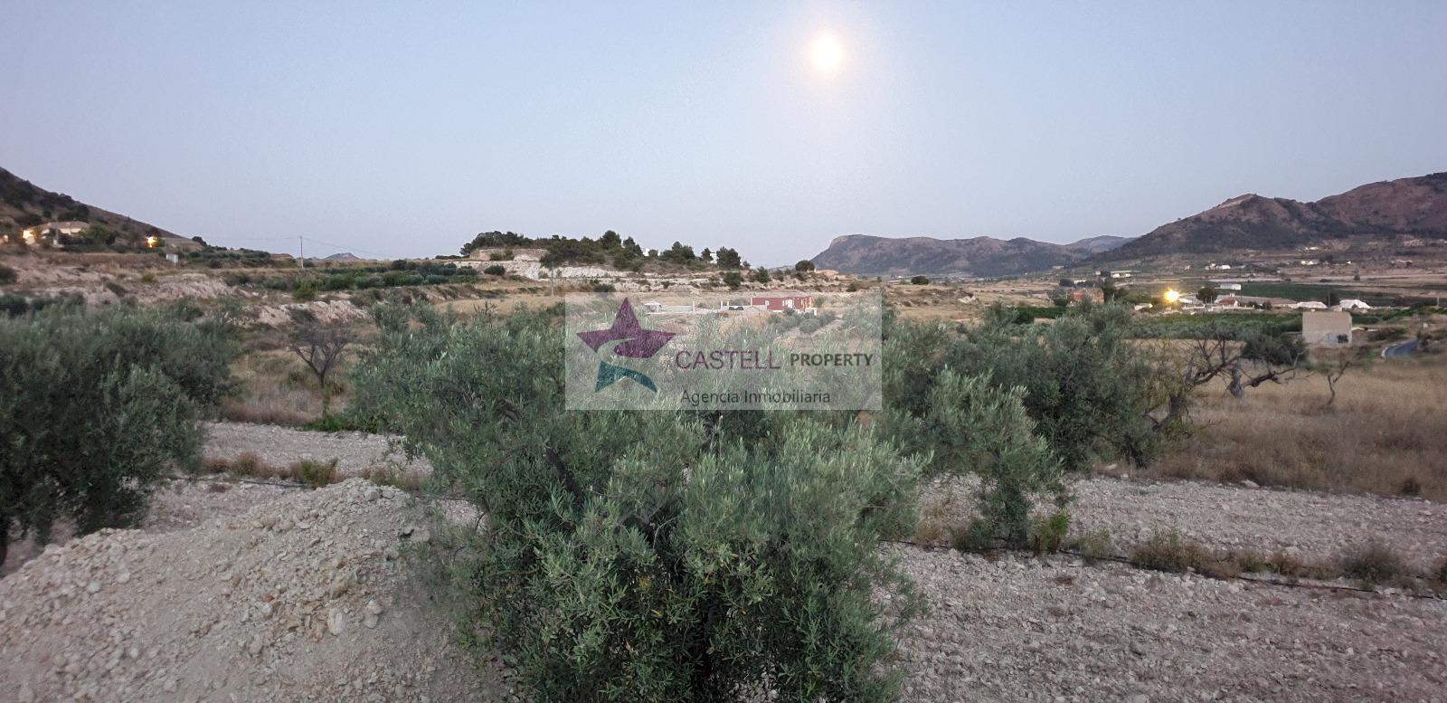 Venta de terreno en Alicante