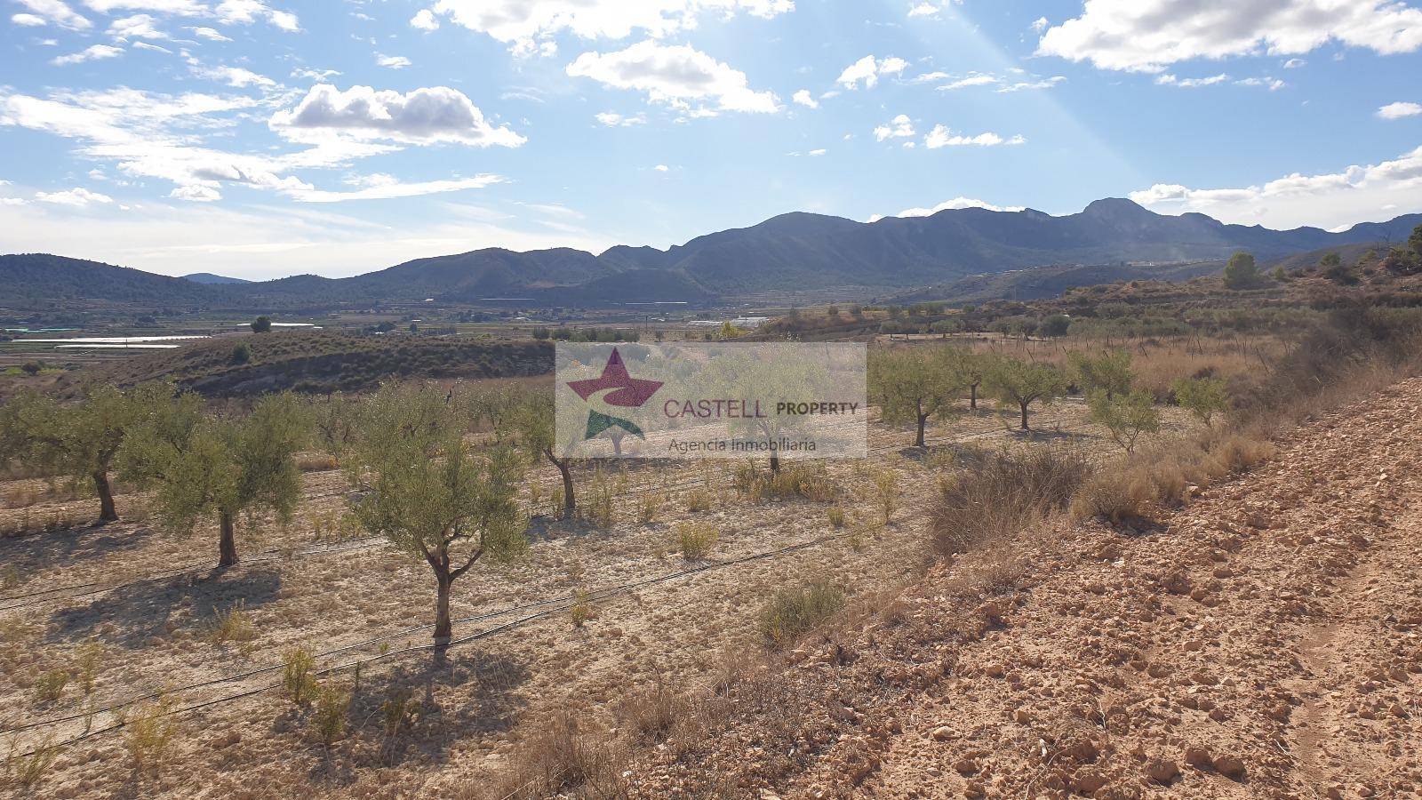 Venta de terreno en Alicante