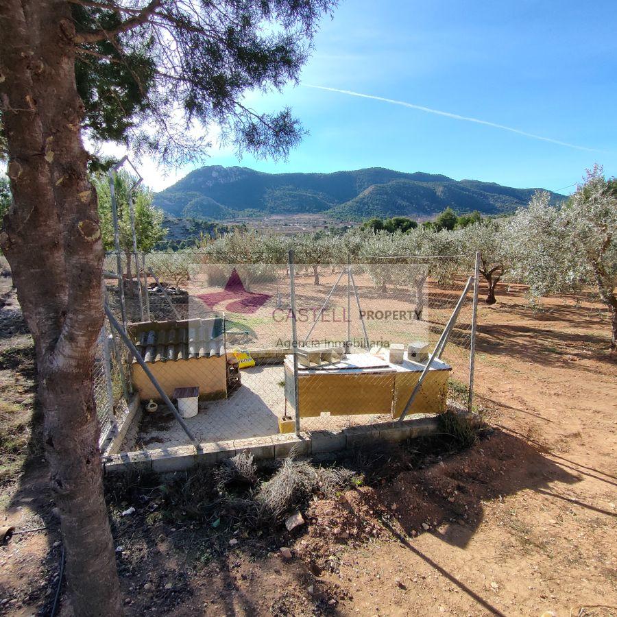 Venta de chalet en Hondón de las Nieves