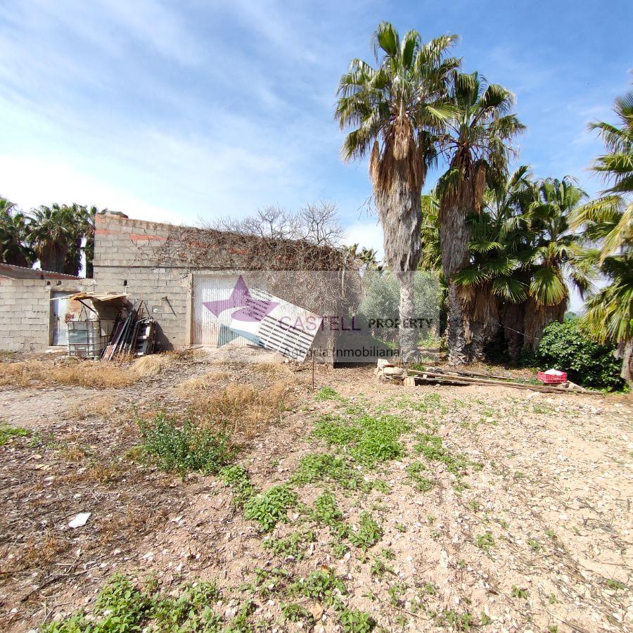 For sale of rural property in Novelda