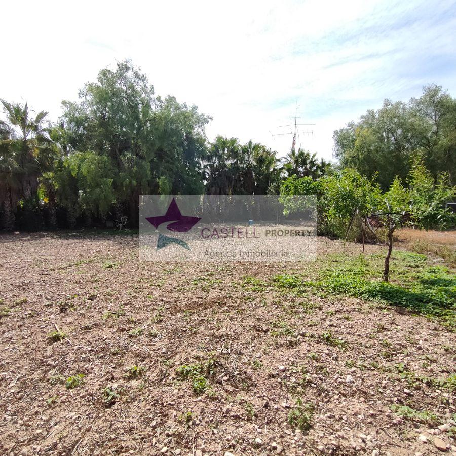 For sale of rural property in Novelda