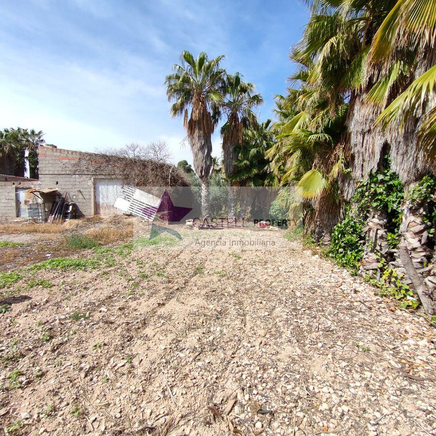 For sale of rural property in Novelda