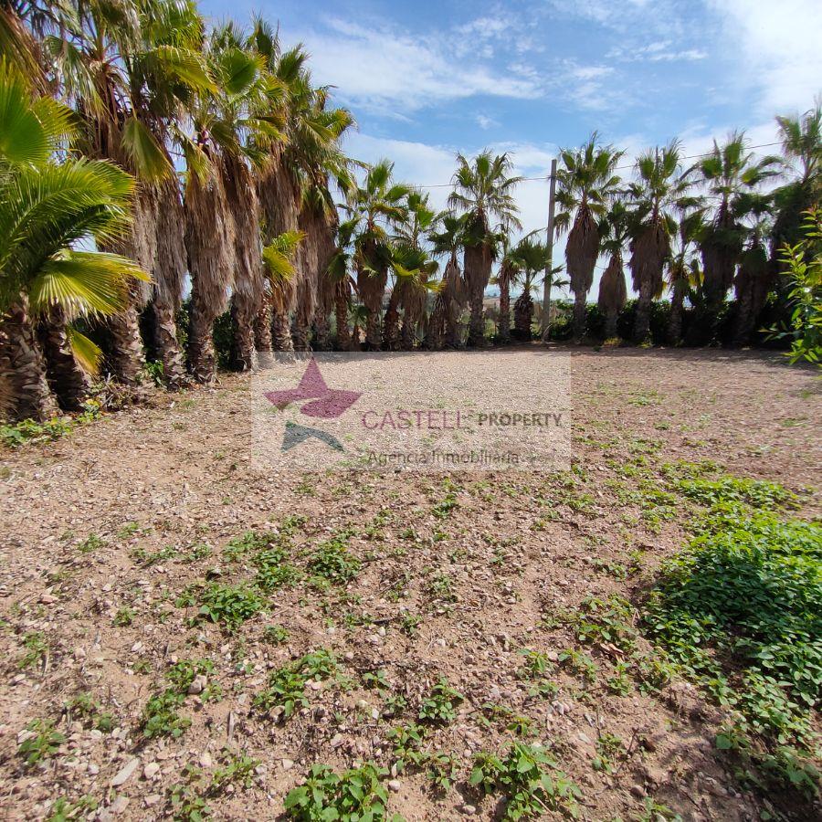 For sale of rural property in Novelda