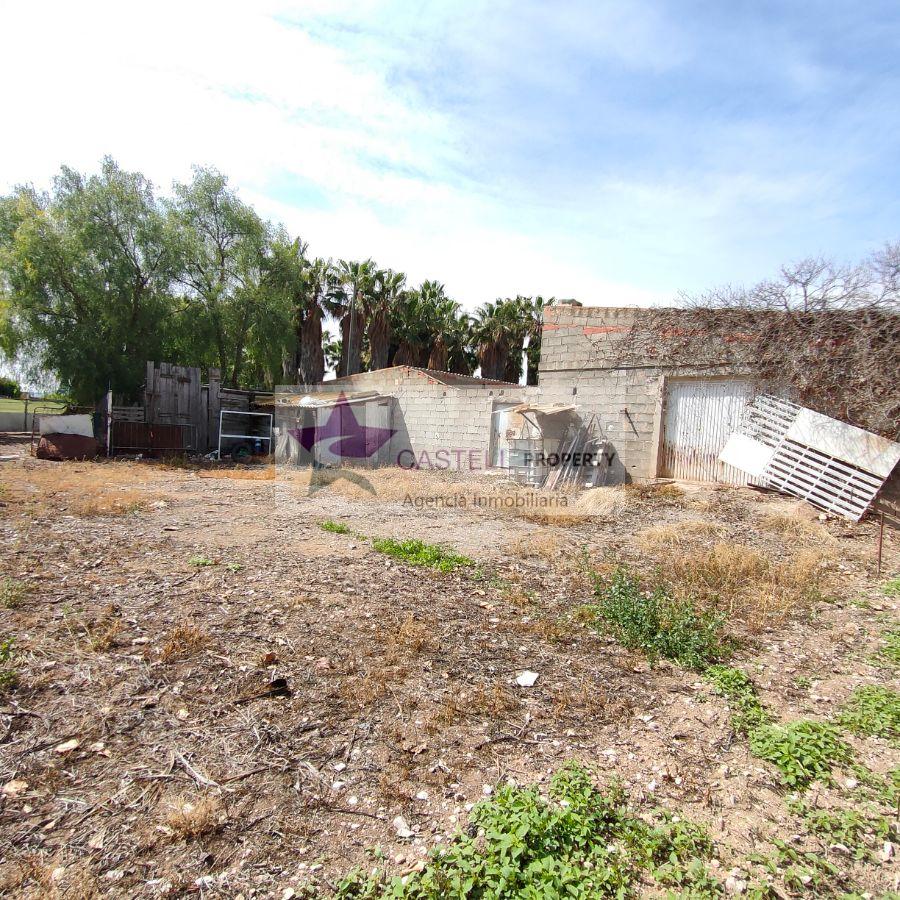 For sale of rural property in Novelda
