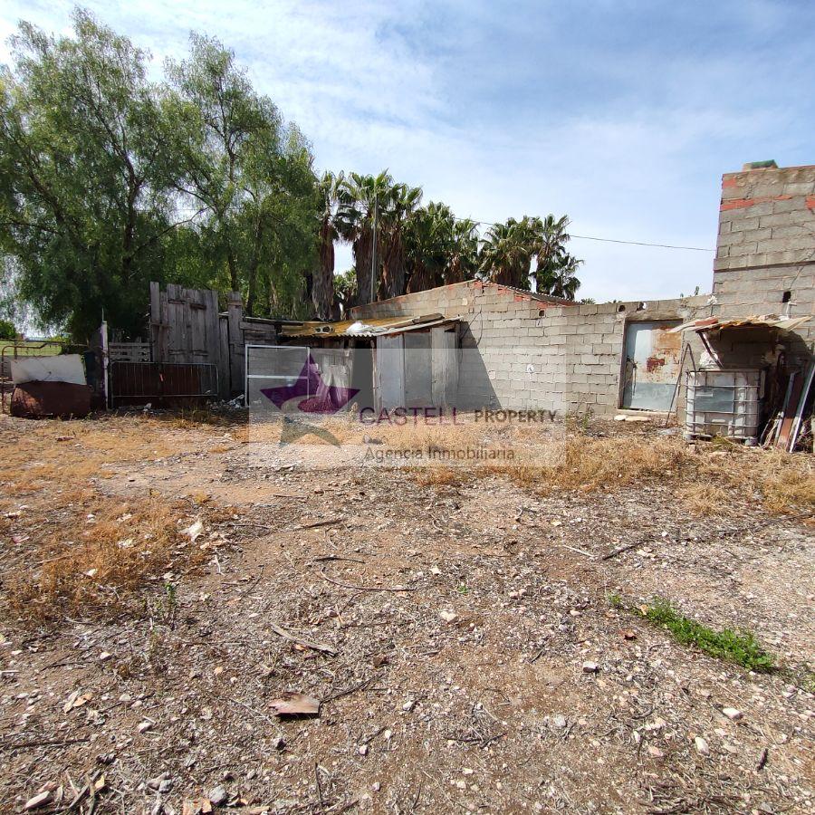 For sale of rural property in Novelda