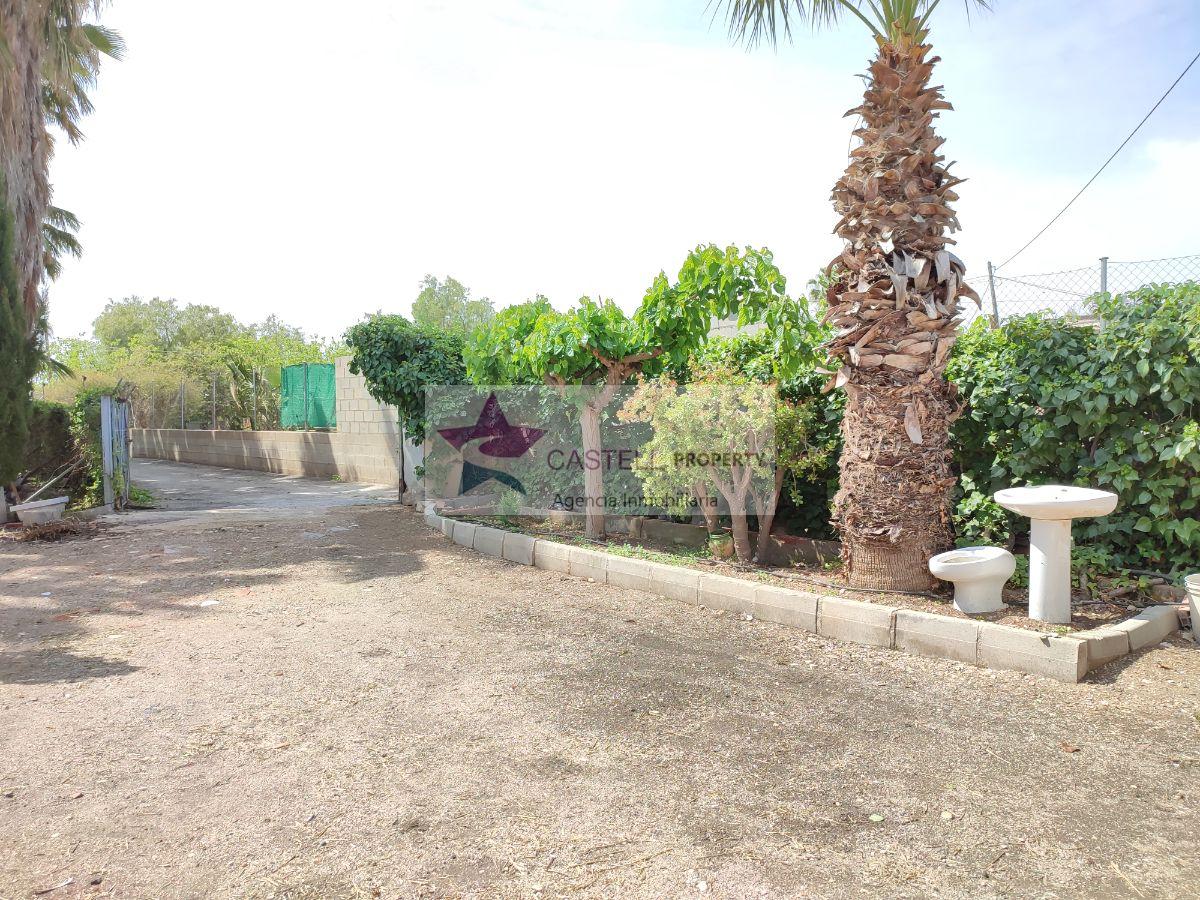 For sale of rural property in Novelda
