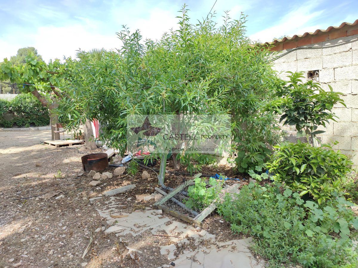 For sale of rural property in Novelda