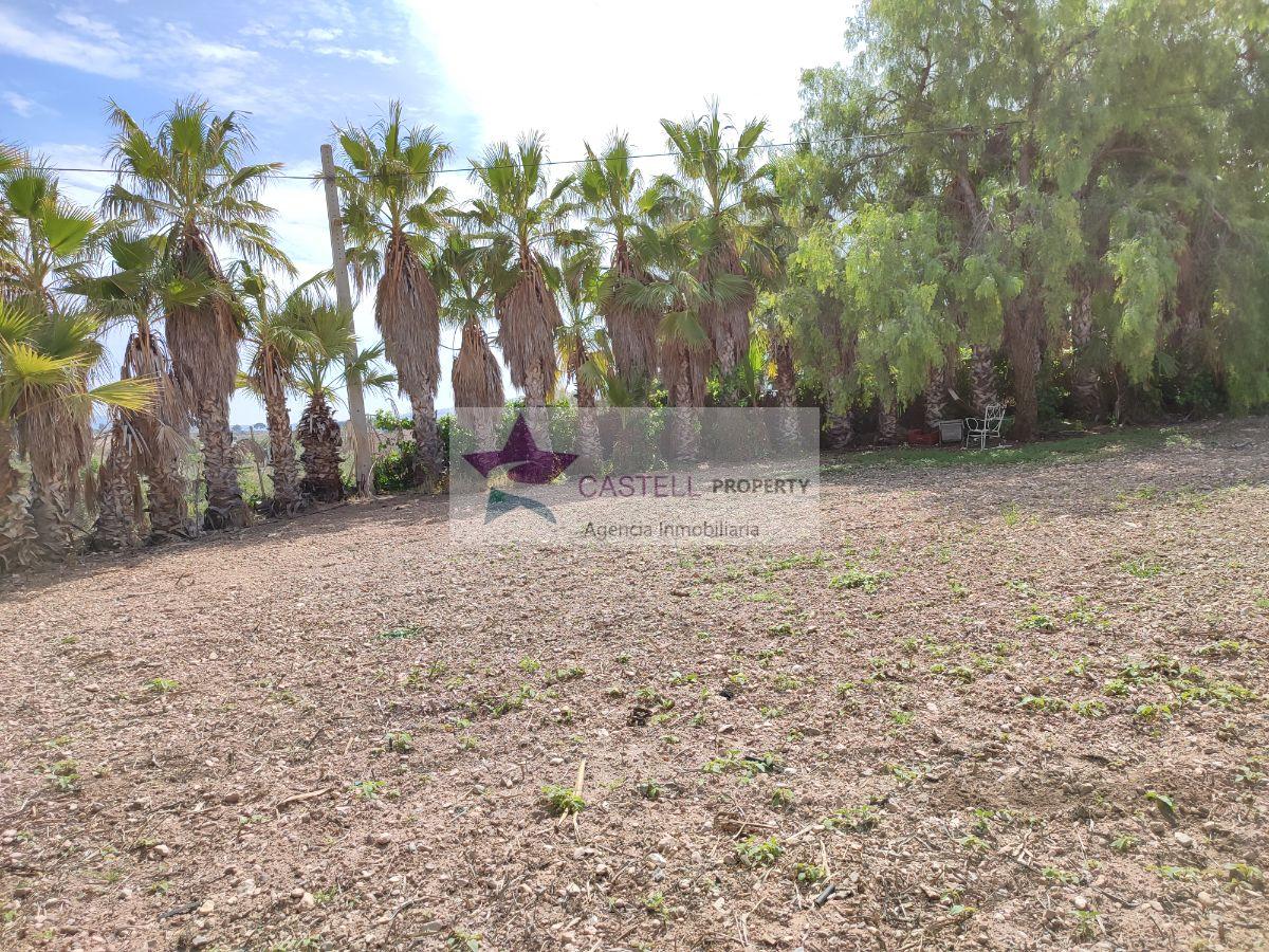 For sale of rural property in Novelda
