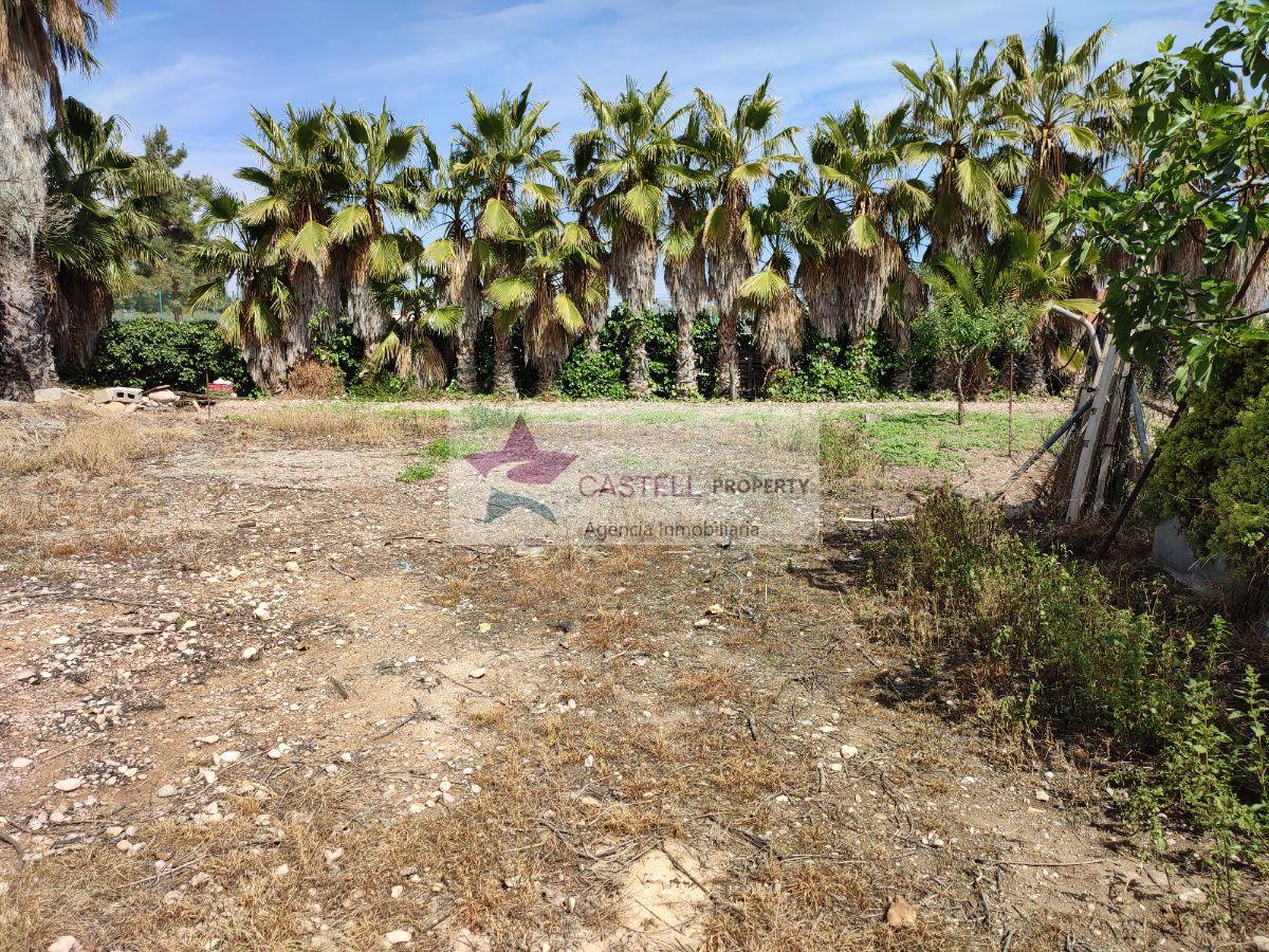 For sale of rural property in Novelda