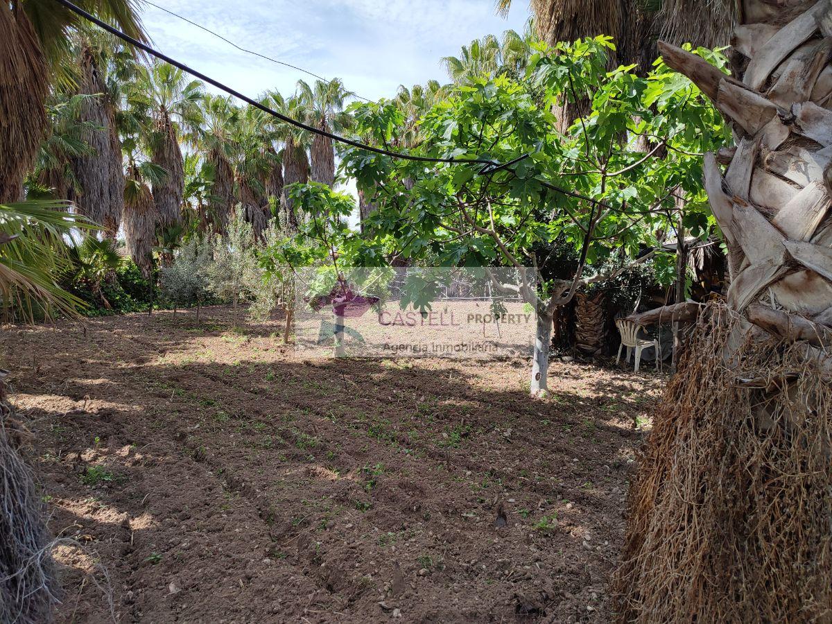 For sale of rural property in Novelda