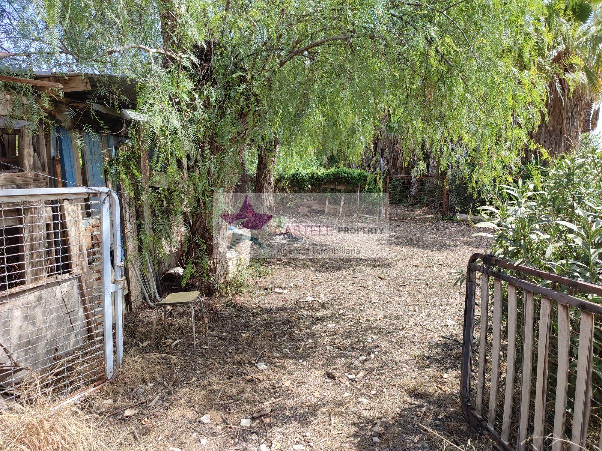For sale of rural property in Novelda
